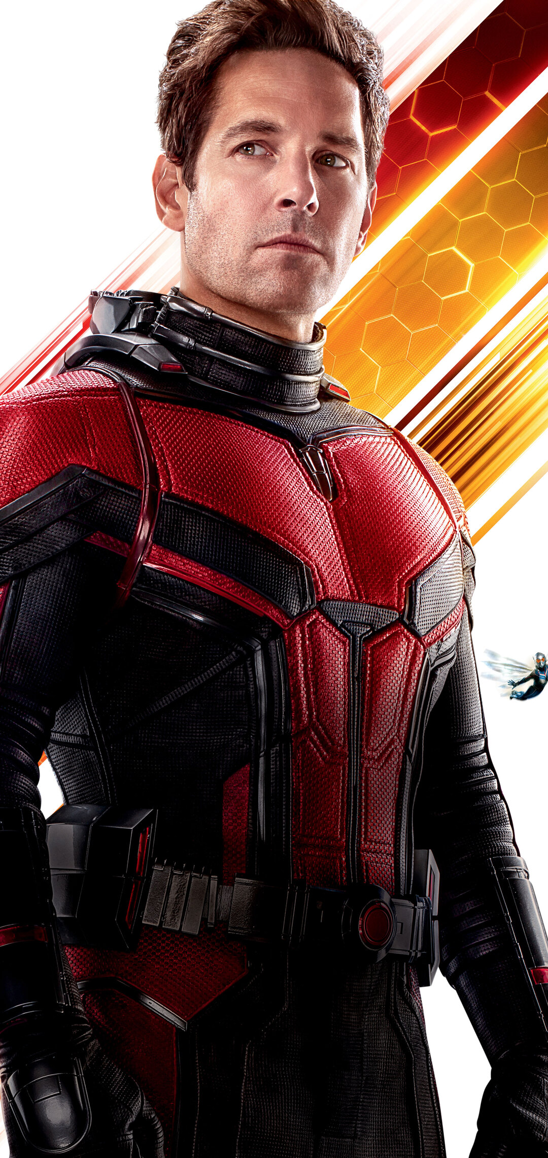 paul-rudd-as-antman-in-ant-man-and-the-wasp-10k-zp.jpg