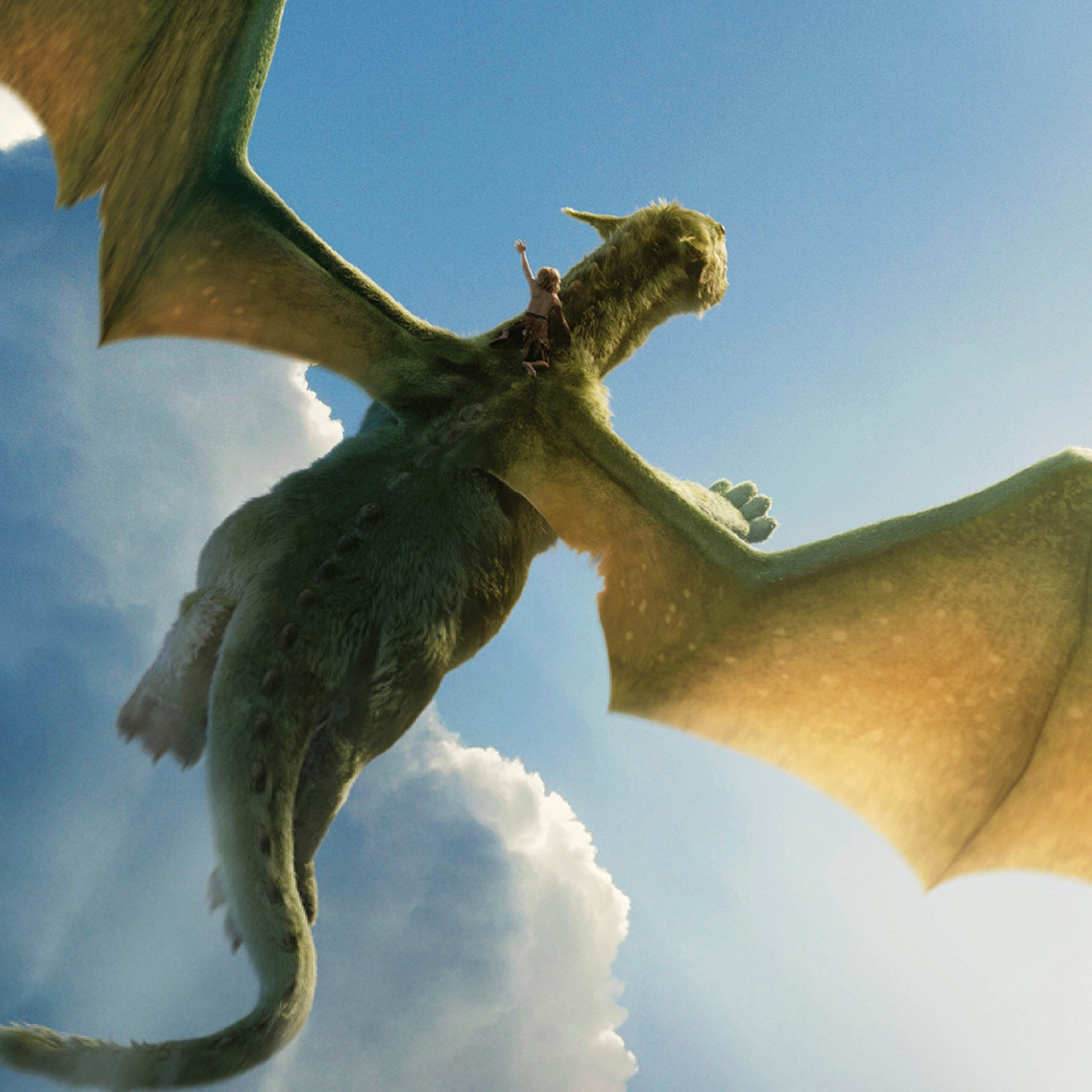 2048x2048 Petes Dragon Ipad Air ,HD 4k Wallpapers,Images,Backgrounds