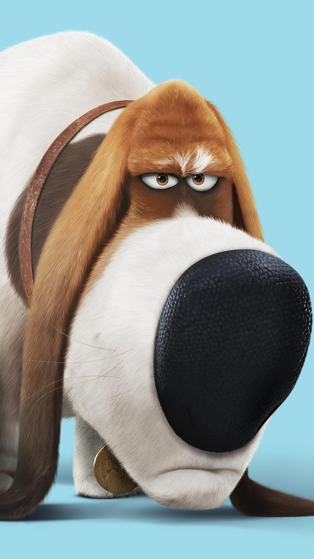 1080x1920 Pops The Secret Life Of Pets Iphone 7,6s,6 Plus, Pixel xl ...