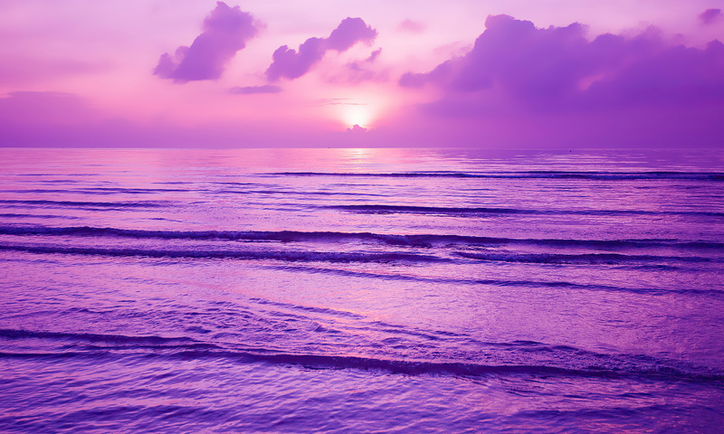 800x480 Purple Sunset 4k 800x480 Resolution Hd 4k Wallpapers, Images 