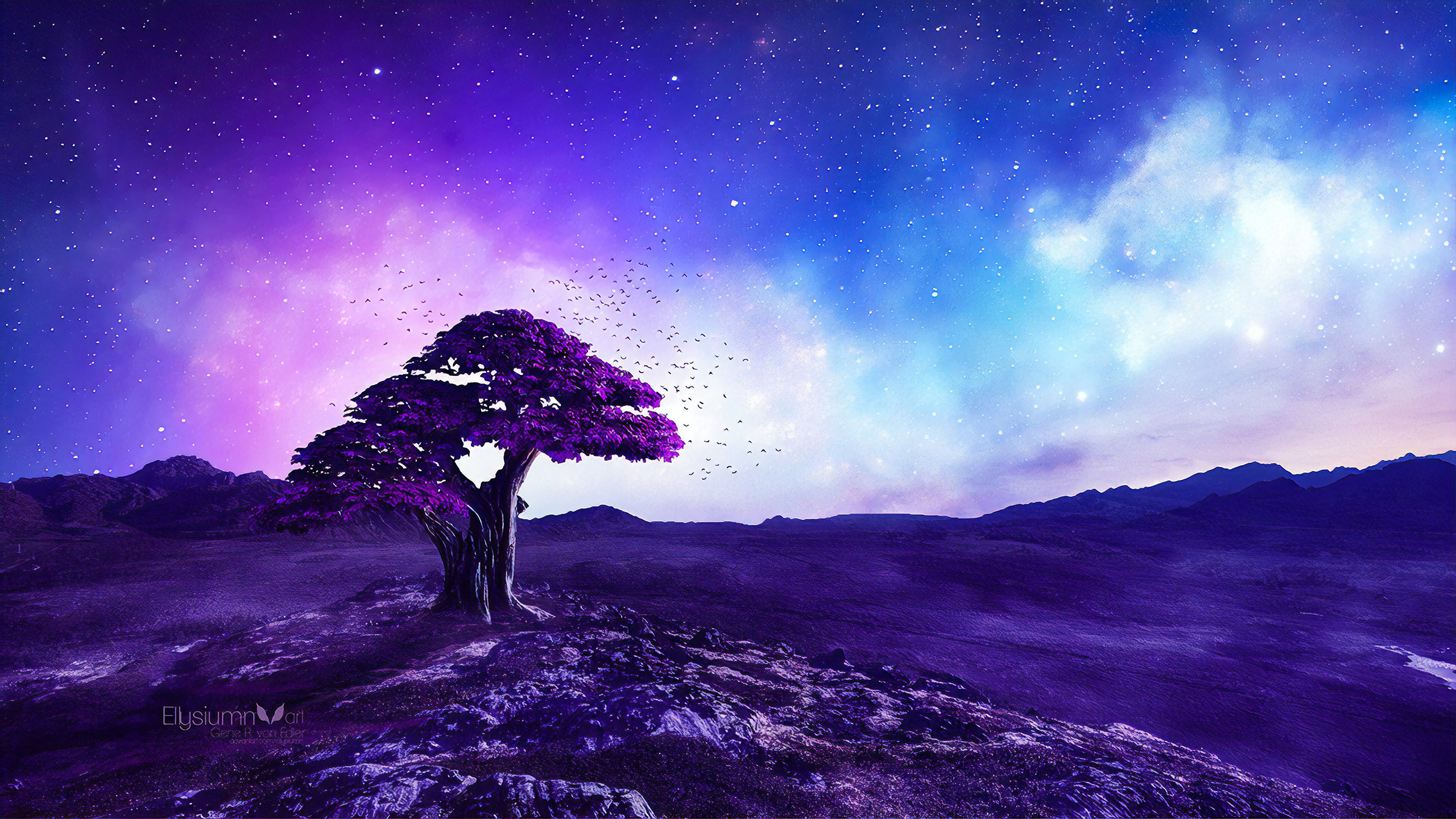 2560x1440 Purple Tree Stories 1440P Resolution HD 4k ...