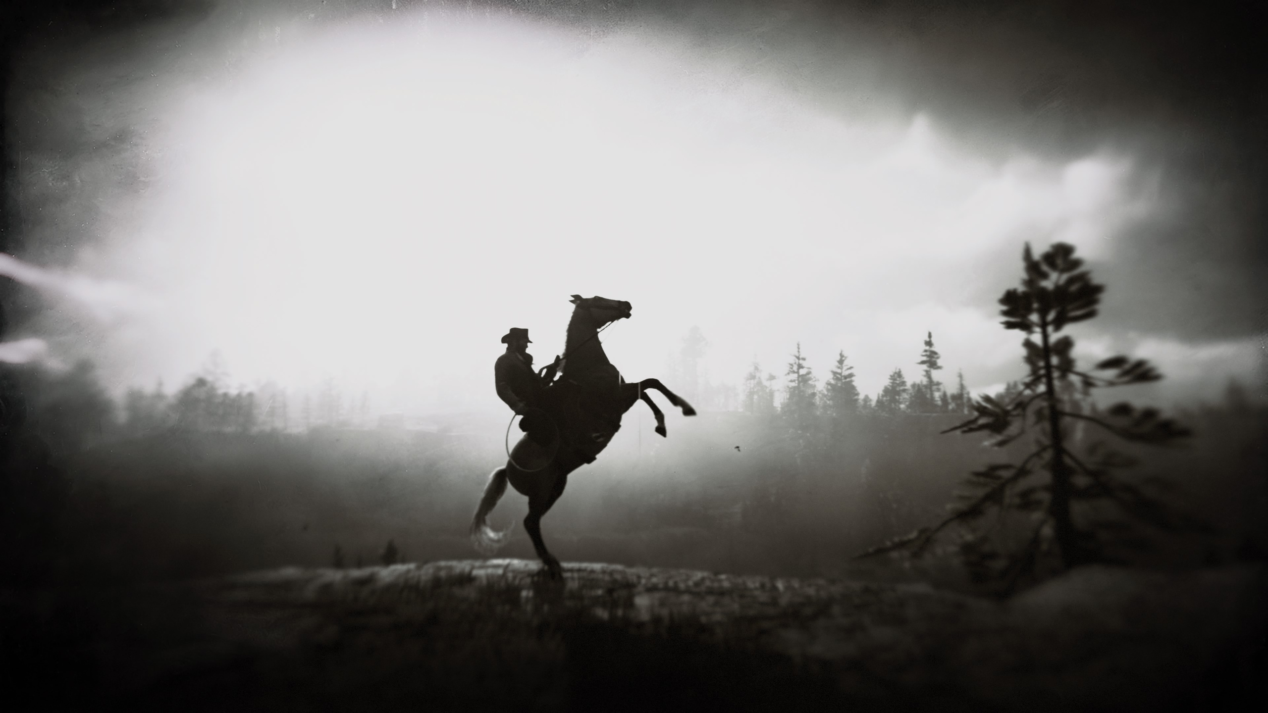 Red Dead Redemption 2 Dark Ultra HD Desktop Background Wallpaper