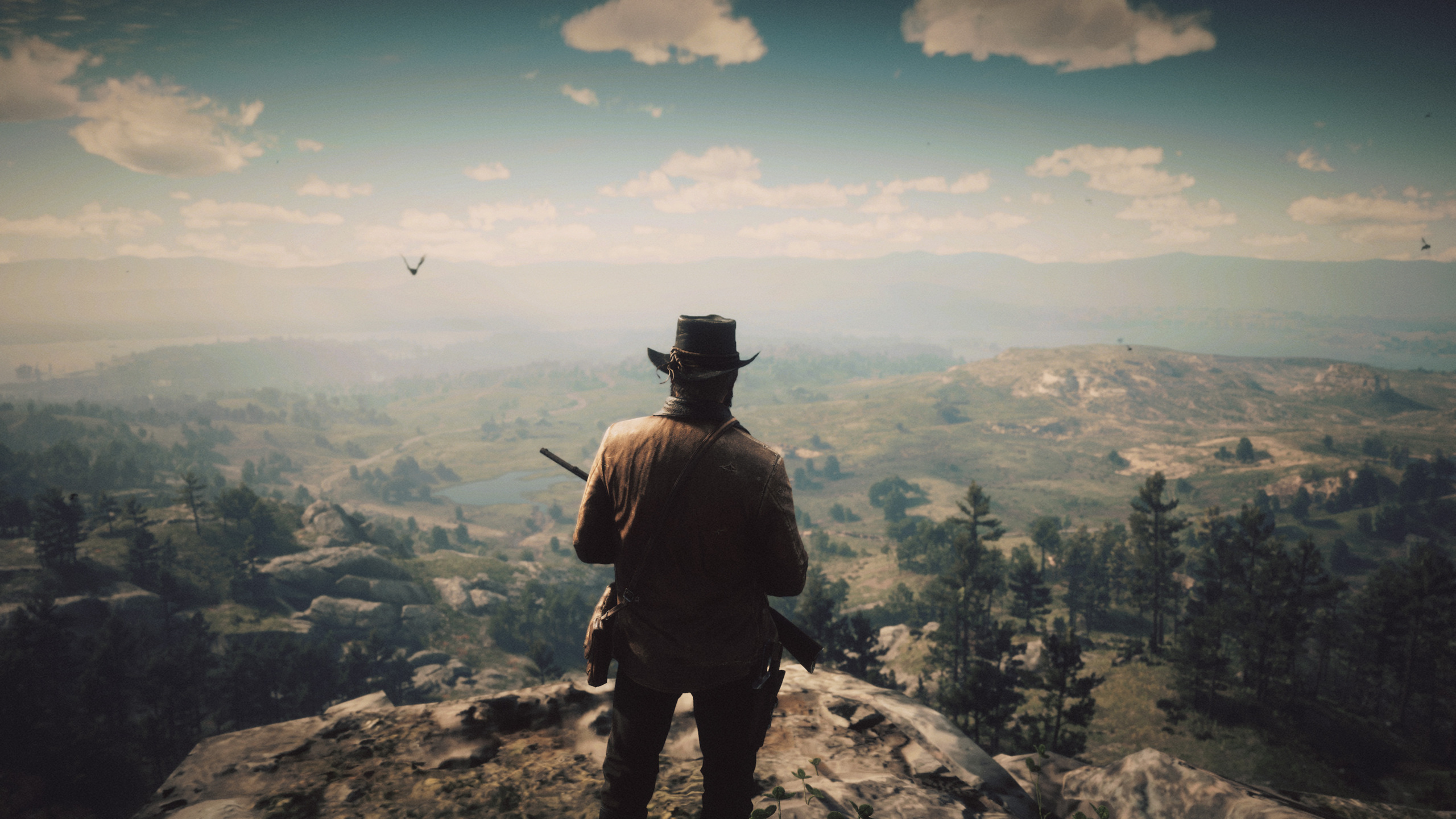 2560x1440 Red Dead Redemp
tion 2 Mission 4k 1440P Resolution HD 4k