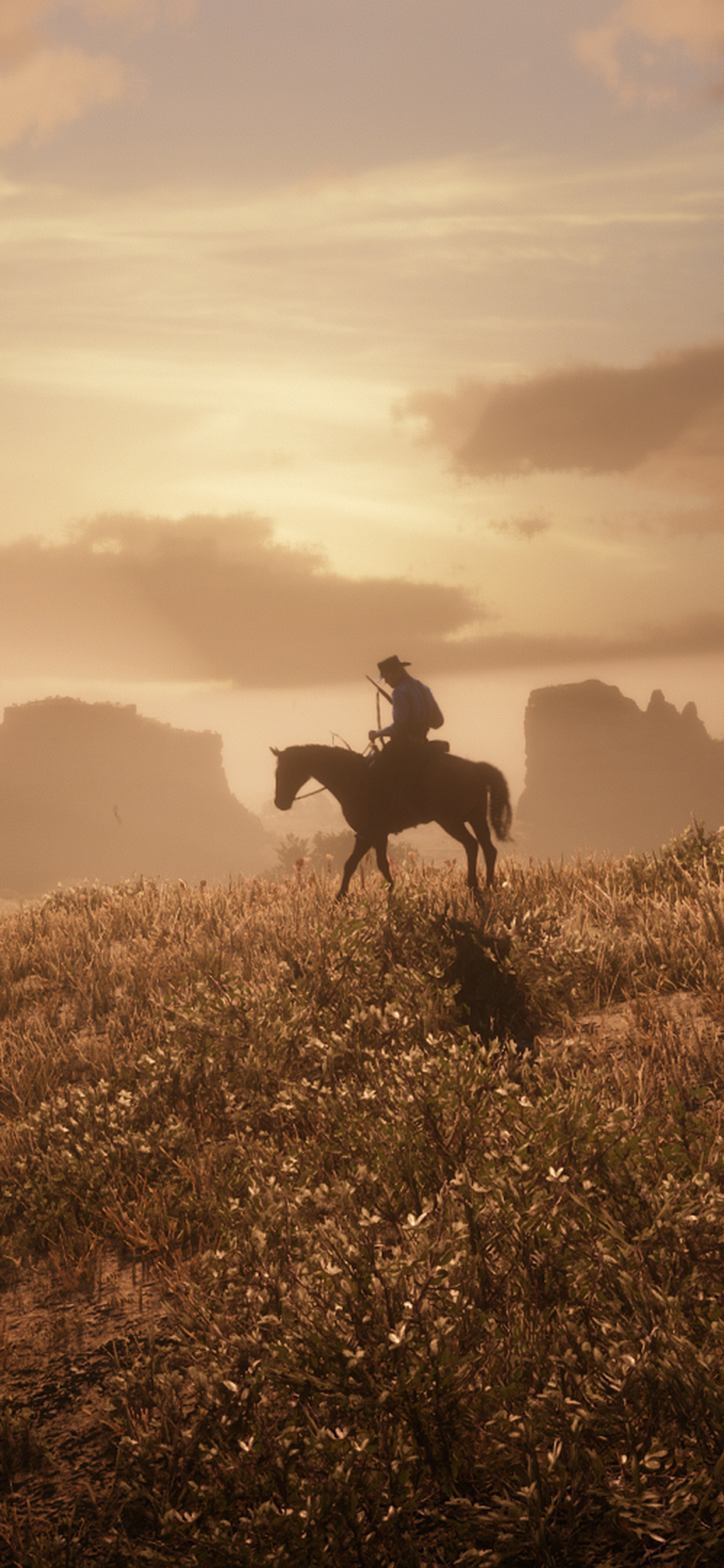 1242x2688 Red Dead Redemption 2 Xbox One 4k Iphone XS MAX HD 4k ...