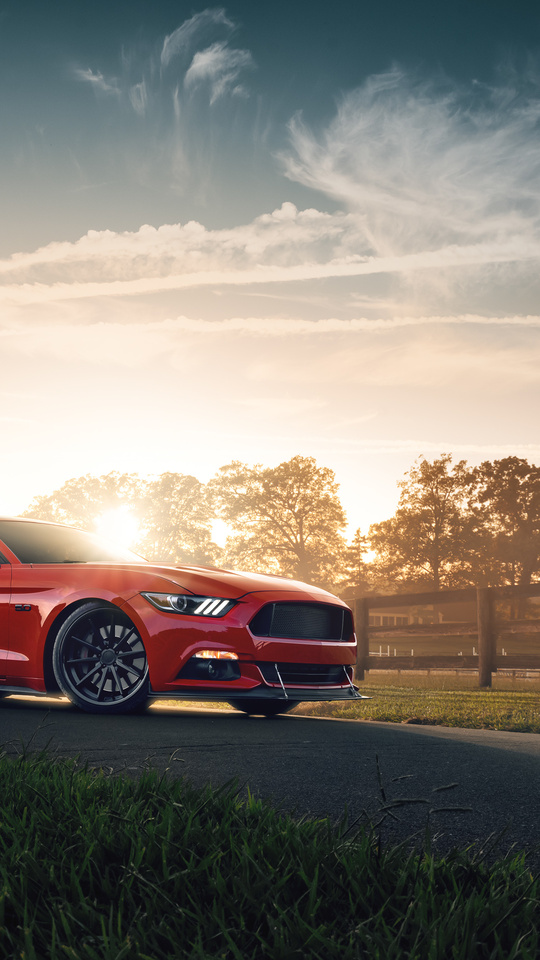  0x9 Red Ford Mustang 4k 0x9 Resolución HD 4k Fondos de pantalla, imágenes, fondos, fotos e imágenes