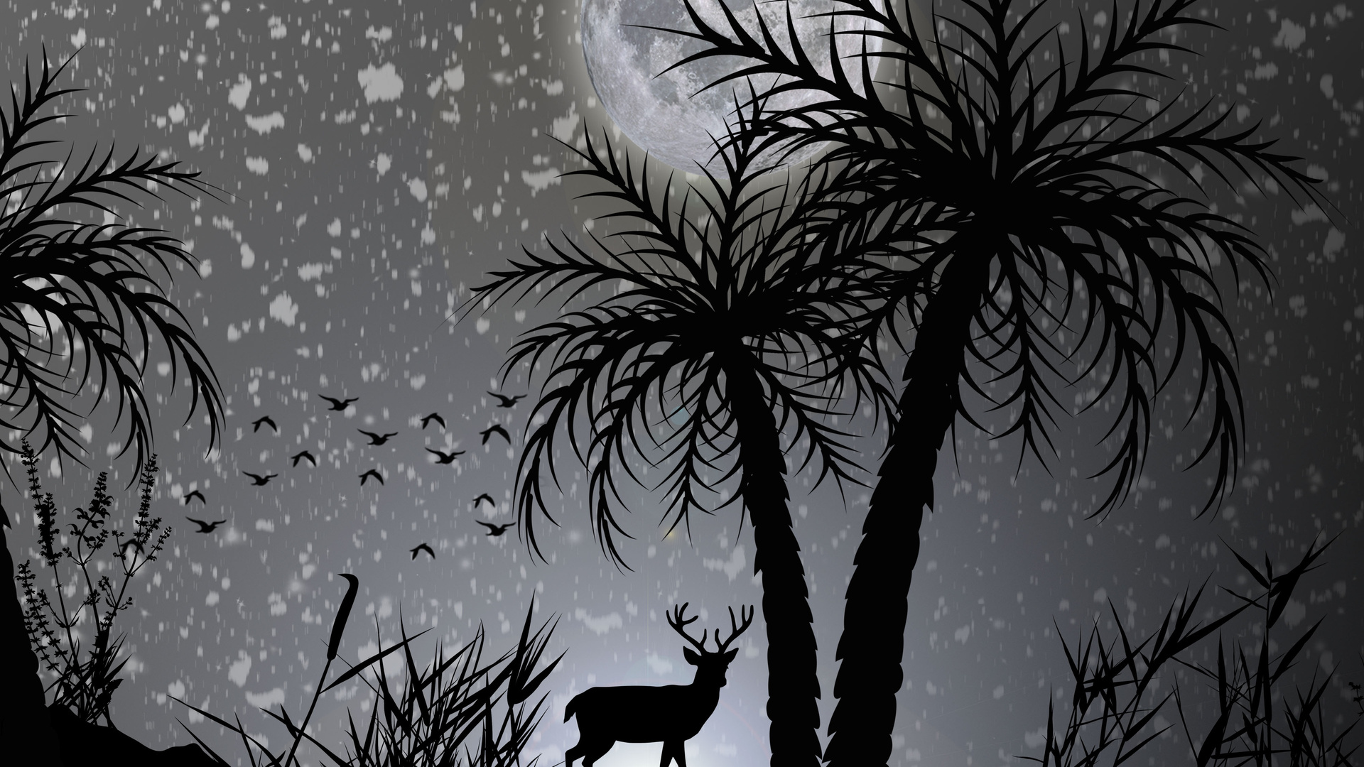 1920x1080 Reindeer Dark Night Moon Minimalist Laptop Full HD 1080P HD