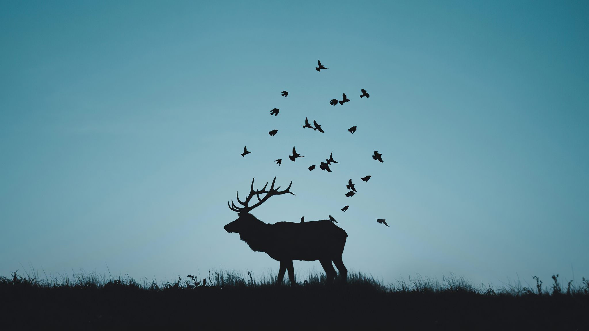 reindeer-minimal-silhouette-r4.jpg