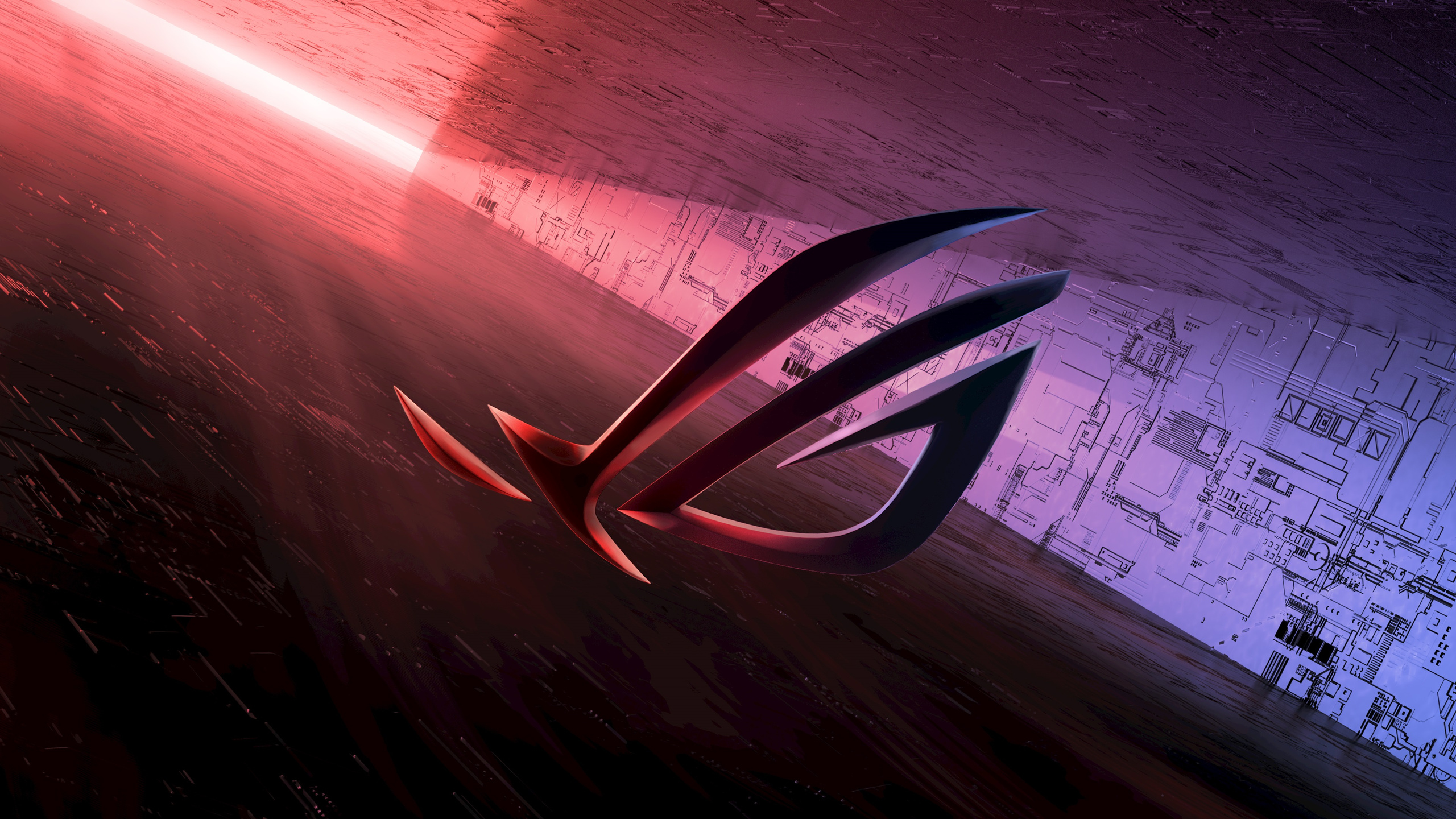 2560x1440 Rog Logo 2020 4k 1440P Resolution HD 4k ...