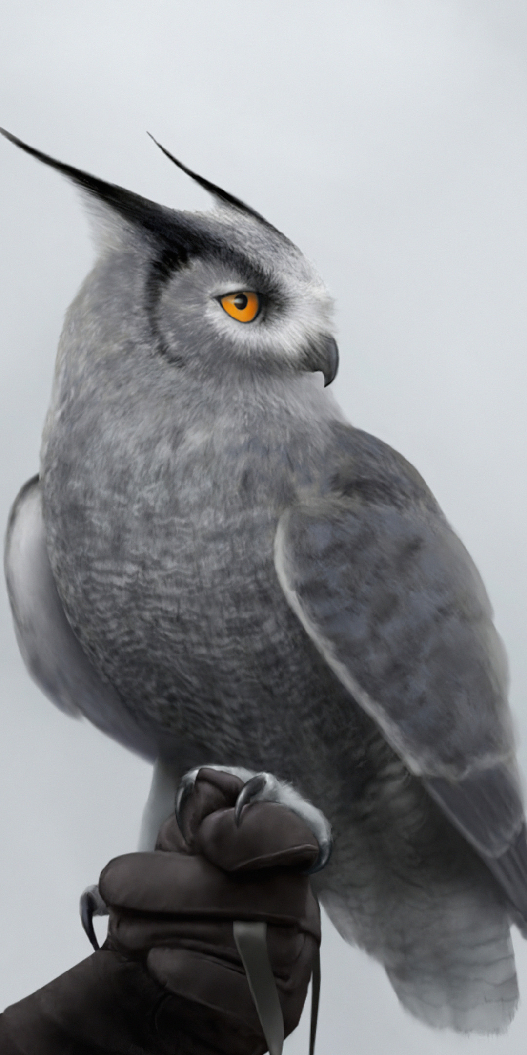 silver-horned-owl-l4.jpg
