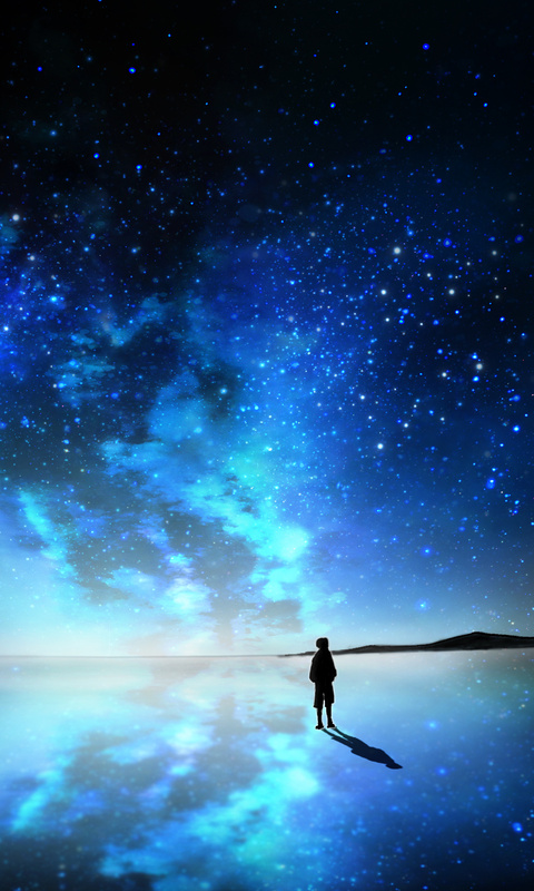 480x800 Sky Full Of Stars Anime Galaxy Note,HTC Desire,Nokia Lumia 520,625 Android  HD 4k Wallpapers, Images, Backgrounds, Photos and Pictures