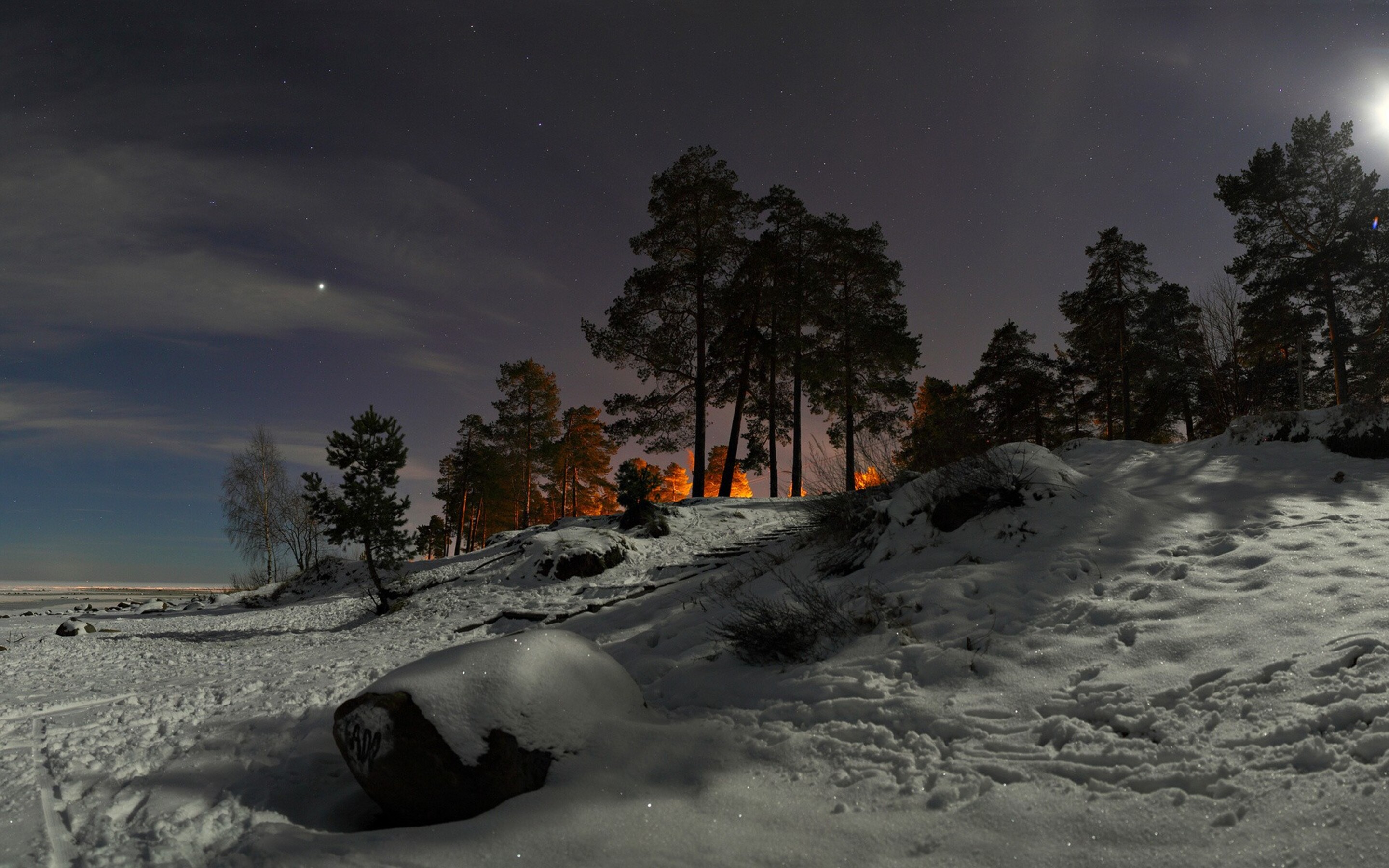 Сугробы вечером. Зимний ночной пейзаж. Зимний пейзаж ночью. Ночной зимний лес. Зимний лес ночью.
