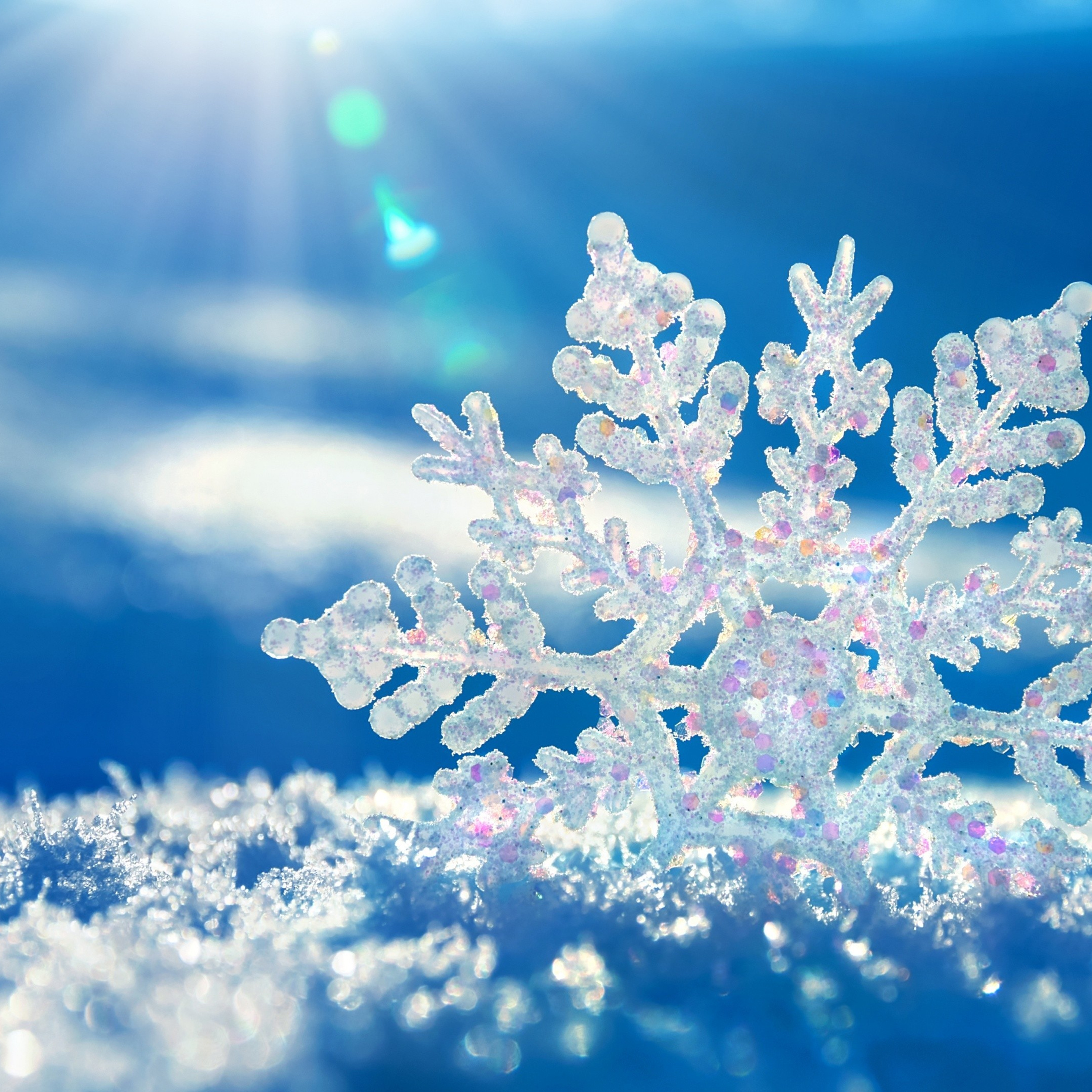 download snowflake pro download snowflake pro