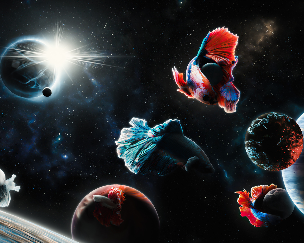 space-fish-qp.jpg