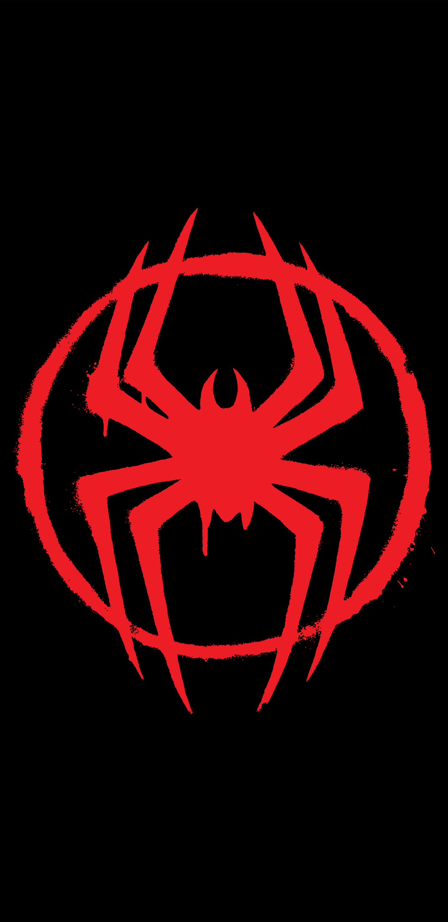 spider-man-across-the-spider-verse-2023-5k-hx.jpg