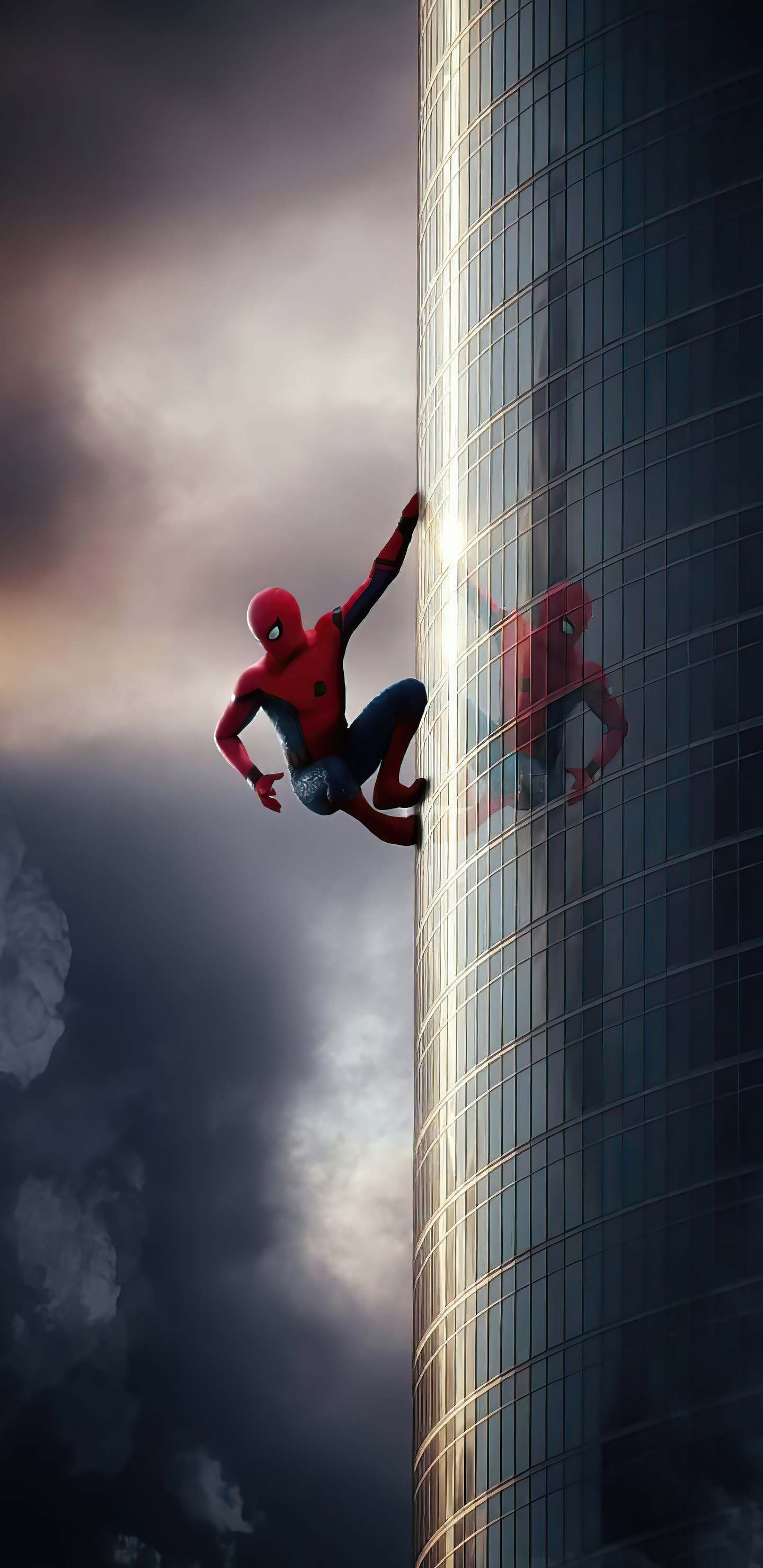 1440x2960 Spiderman Climbing Wall Samsung Galaxy Note 9,8, S9,S8,S8 ...