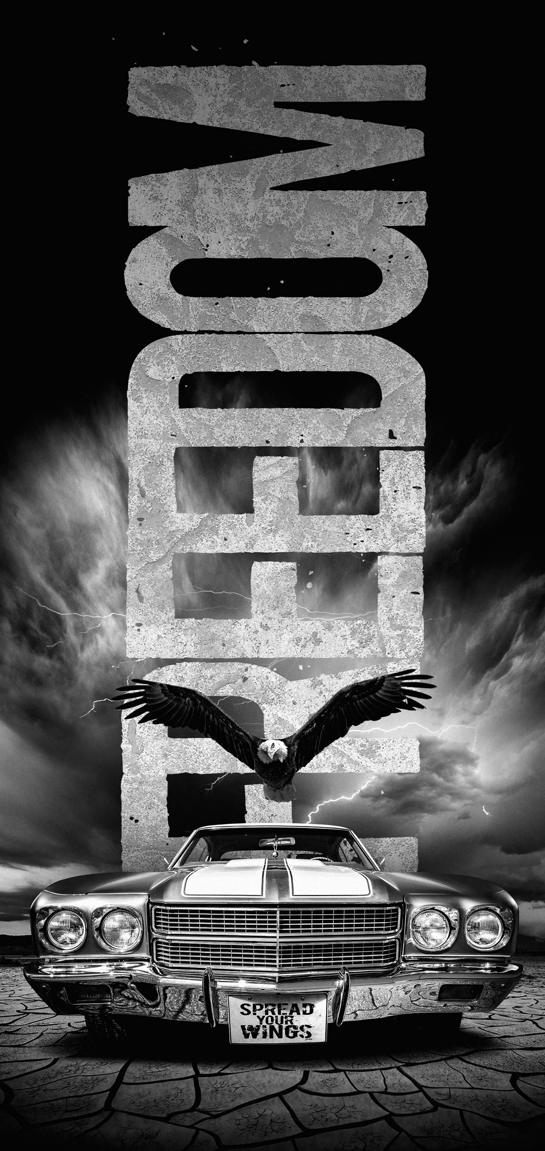Spread Your Wings Wallpaper In 1080x2280 Resolution