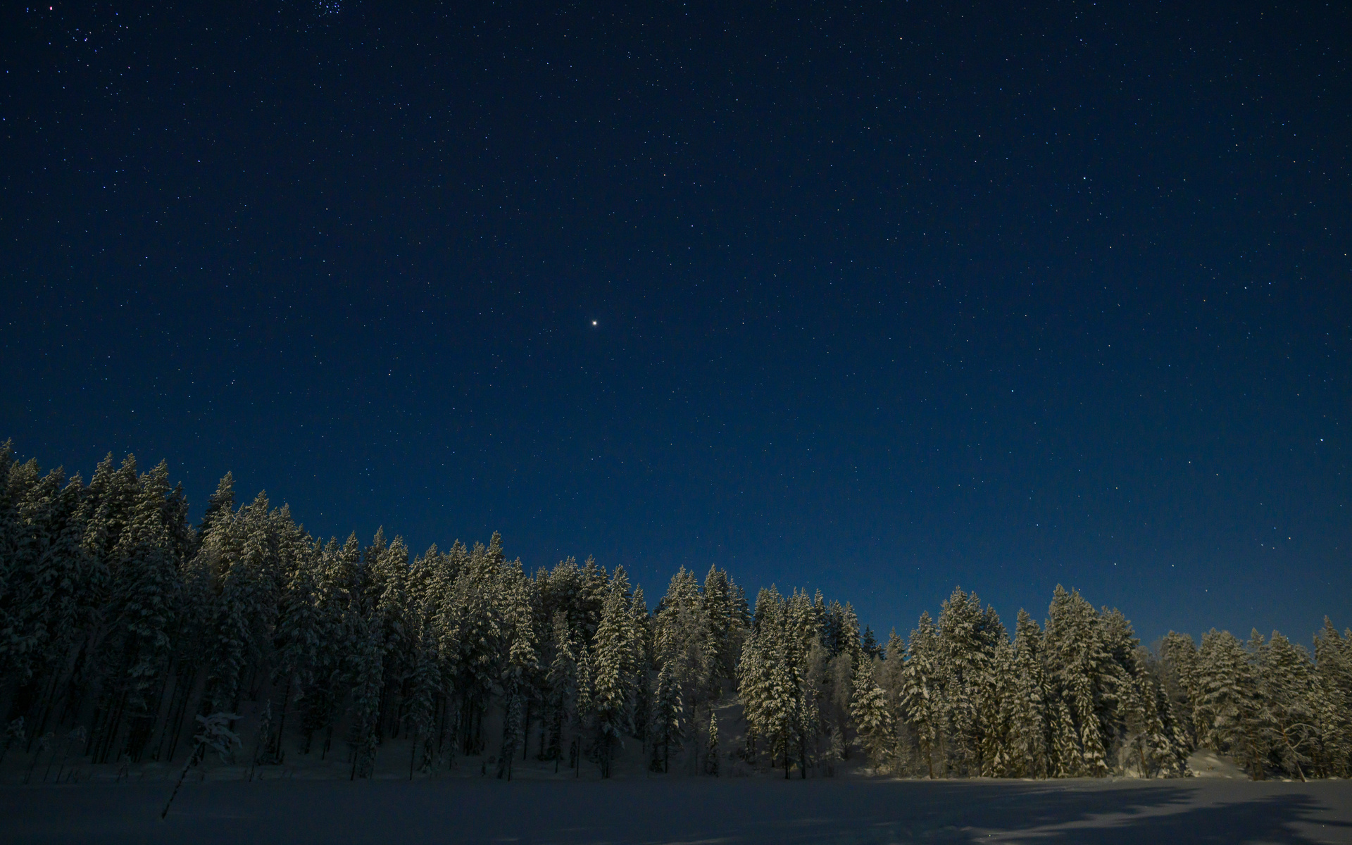 1920x1200 Stars Shining Brightly Over Snowy Trees 1080P Resolution ,HD ...