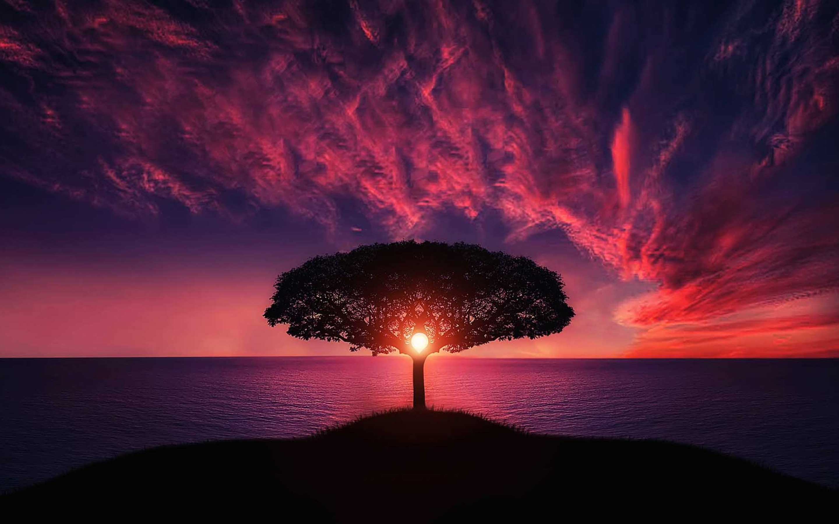 sunset-tree-red-ocean-sky-7w.jpg