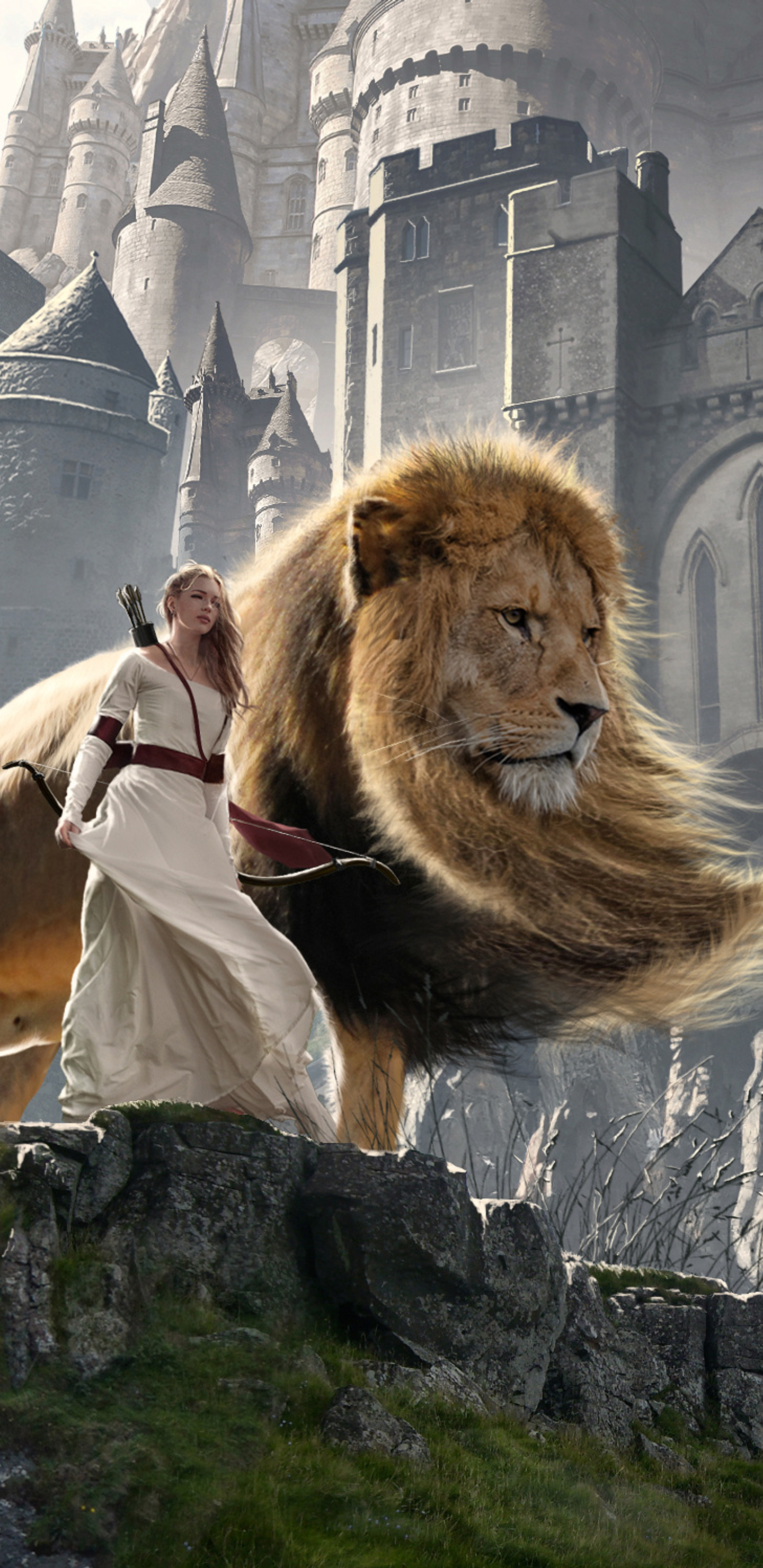 9 the chronicles of narnia aslan