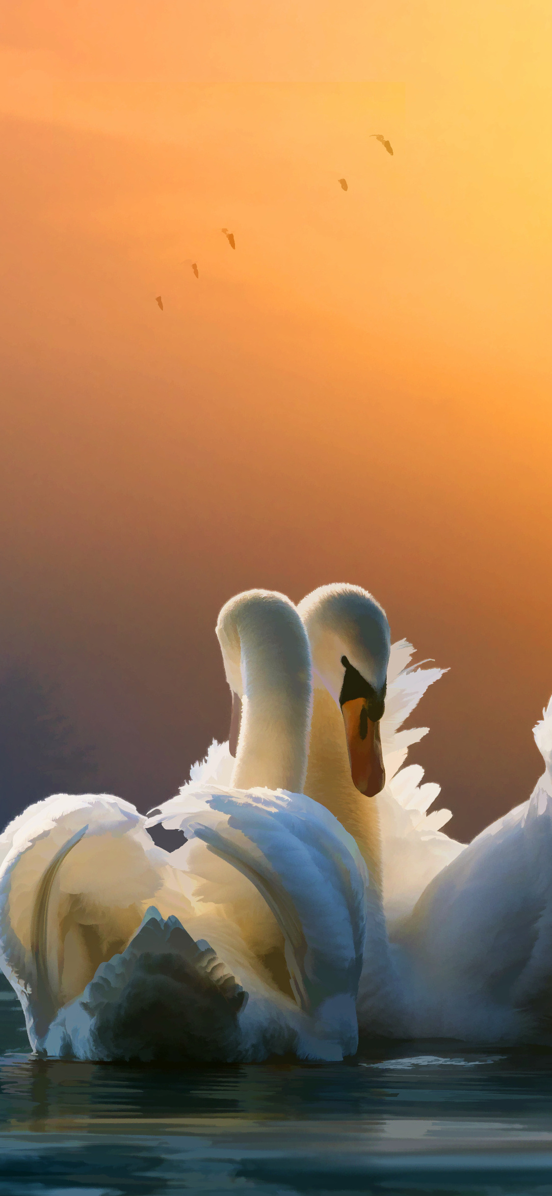 1125x2436 Swan Couple Iphone XS,Iphone 10,Iphone X HD 4k Wallpapers, Images,  Backgrounds, Photos and Pictures