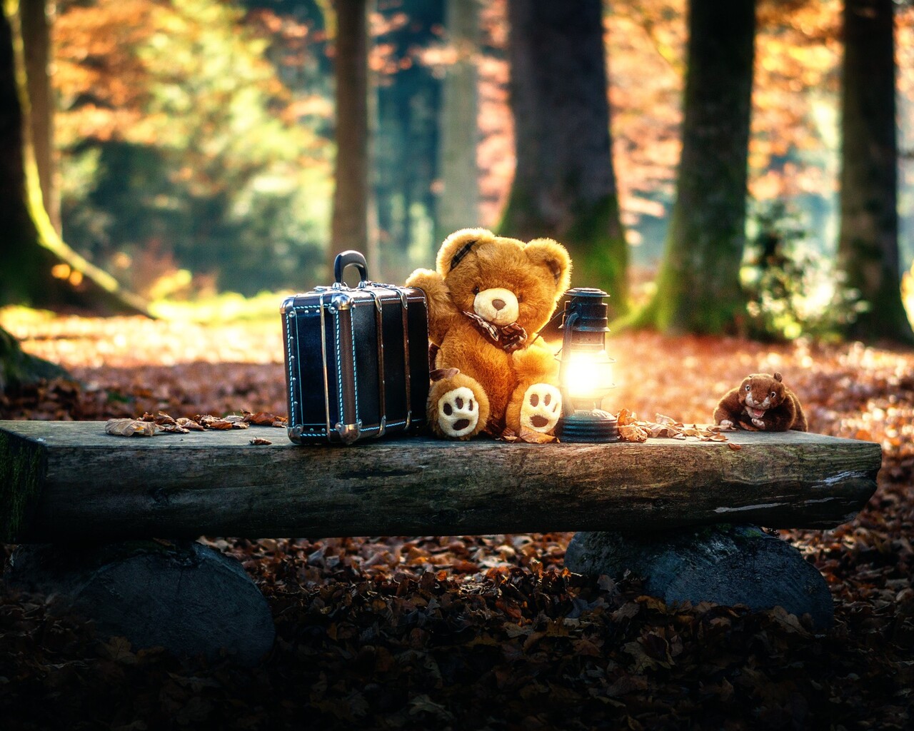 1280x1024 Teddy Bears Cute Alone in Forest 1280x1024 Resolution HD 4k  Wallpapers, Images, Backgrounds, Photos and Pictures
