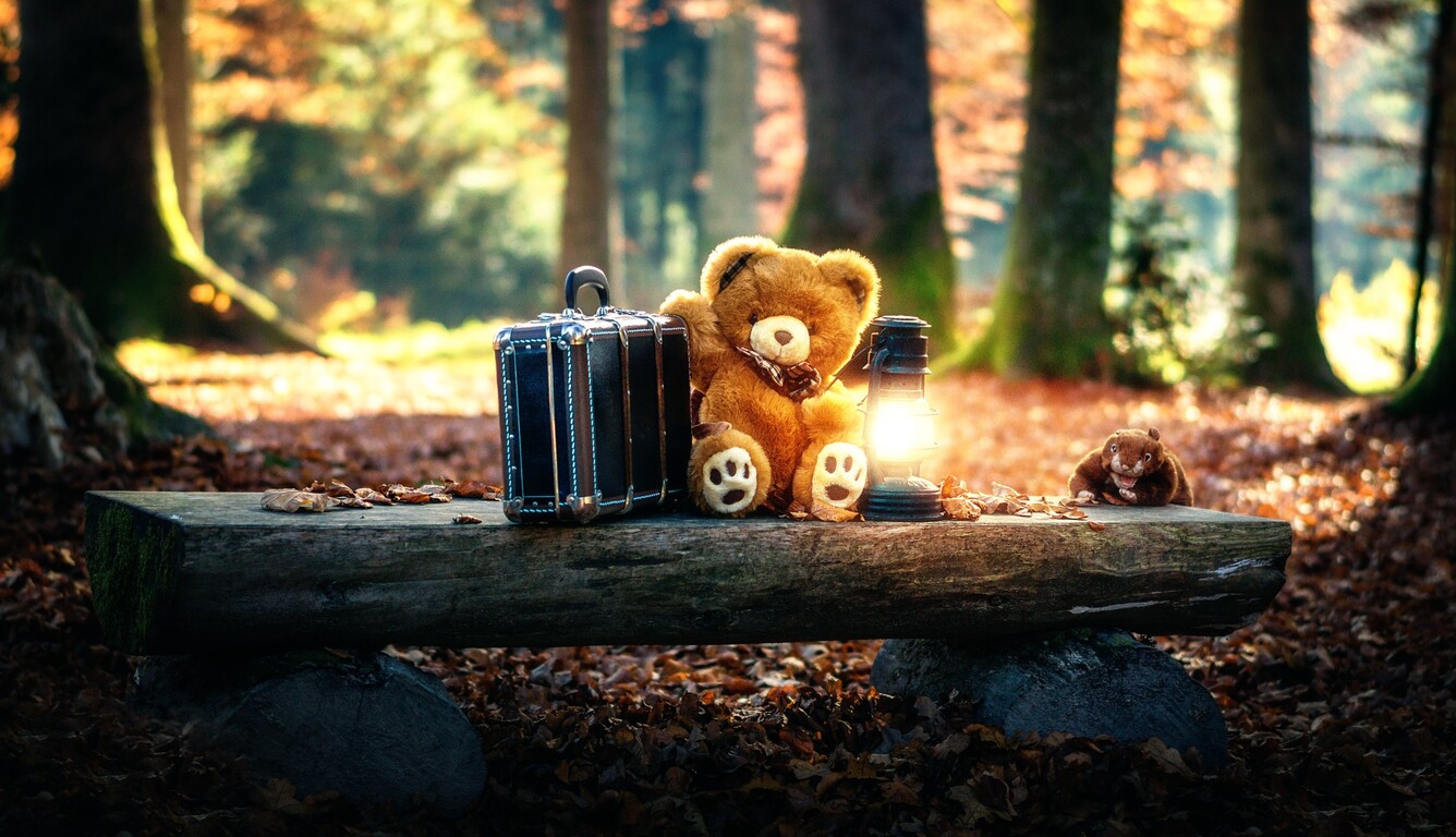 1336x768 Teddy Bears Cute Alone in Forest Laptop HD HD 4k Wallpapers, Images,  Backgrounds, Photos and Pictures