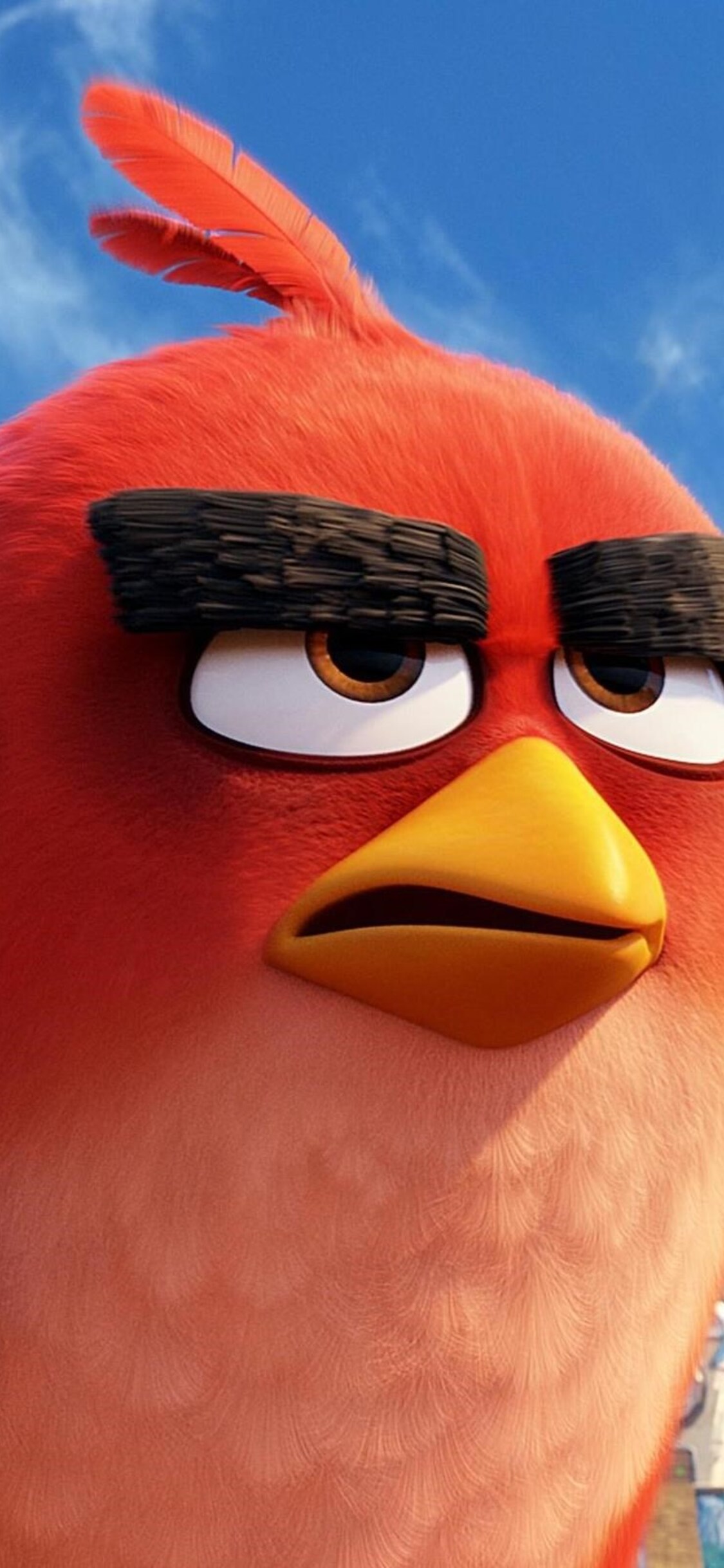 1125x2436 The Angry Birds Movie HD Iphone XS,Iphone 10,Iphone X HD 4k  Wallpapers, Images, Backgrounds, Photos and Pictures