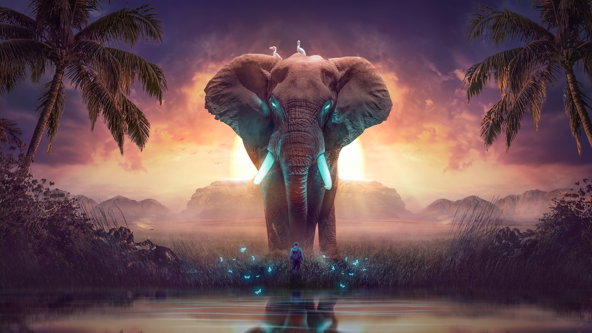 Giấc mơ voi: Bức ảnh này đưa bạn vào một thế giới giấc mơ, với những chú voi to lớn và hoang dã kể chuyện cho bạn nghe. Bạn sẽ cảm thấy mình đang đứng giữa vườn quốc gia, nghe những điệu nhạc của thiên nhiên và choáng ngợp trước vẻ đẹp của thế giới tự nhiên.