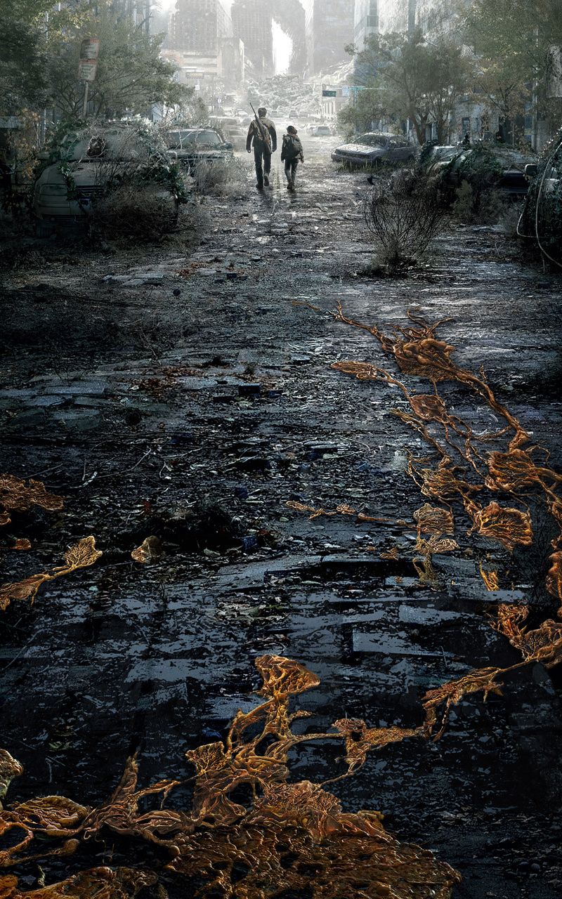 TV Show, The Last of Us, HD wallpaper