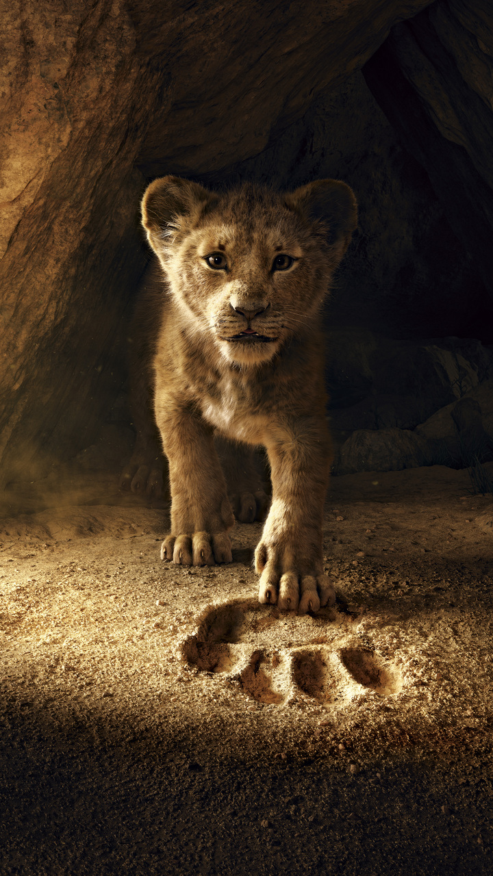 720x1280 The Lion King 2019 8k Moto G,X Xperia Z1,Z3 Compact,Galaxy S3,Note  II,Nexus HD 4k Wallpapers, Images, Backgrounds, Photos and Pictures