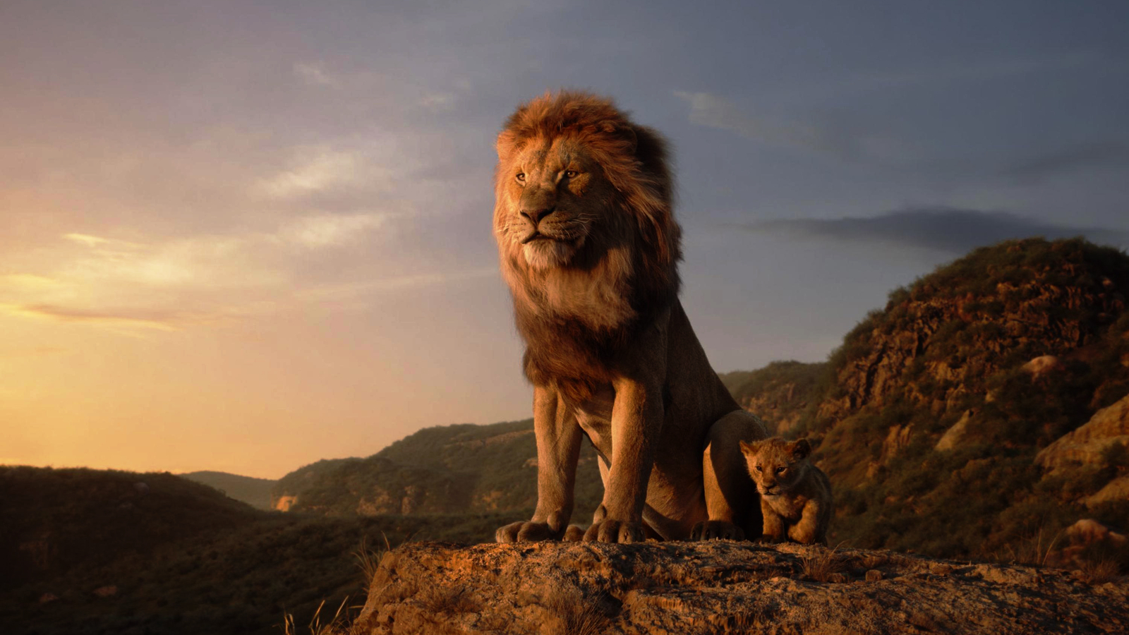 1600x900 The Lion King 4k 1600x900 Resolution HD 4k Wallpapers ...
