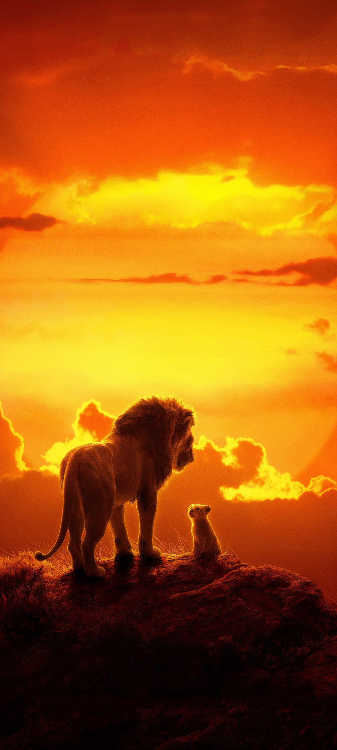 1080x2400 The Lion King Movie Google Pixel 7 ,HD 4k Wallpapers,Images ...