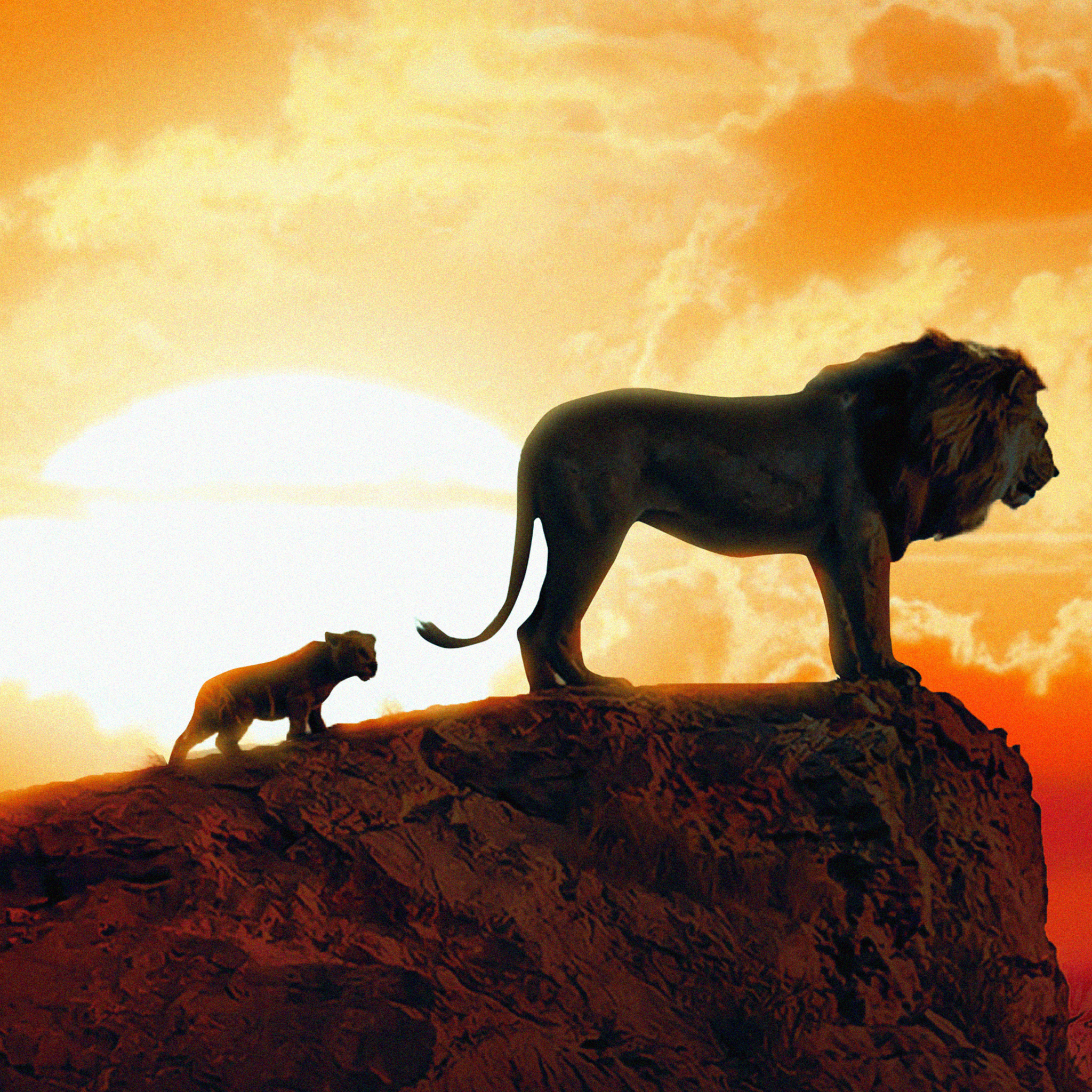 The Lion King New Poster In 2048x2048 Resolution. the-lion-king-new-poster-...