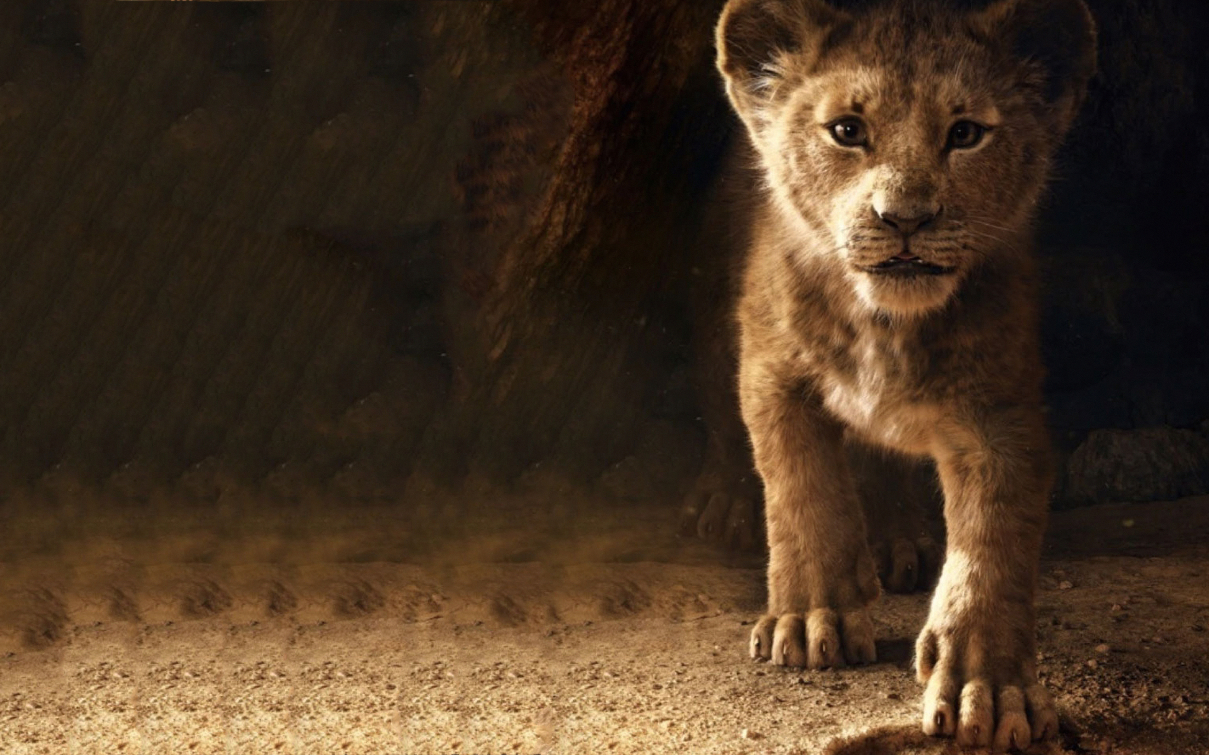 The Lion King Simba 2019 4k In 3840x2400 Resolution. the-lion-k...