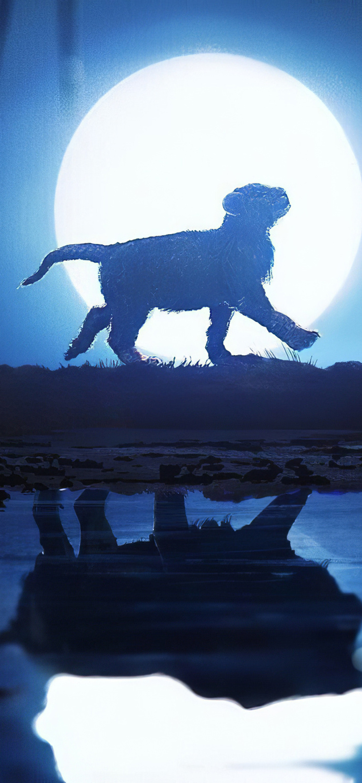 1242x2688 The Lion King Walk Iphone XS MAX HD 4k Wallpapers, Images ...