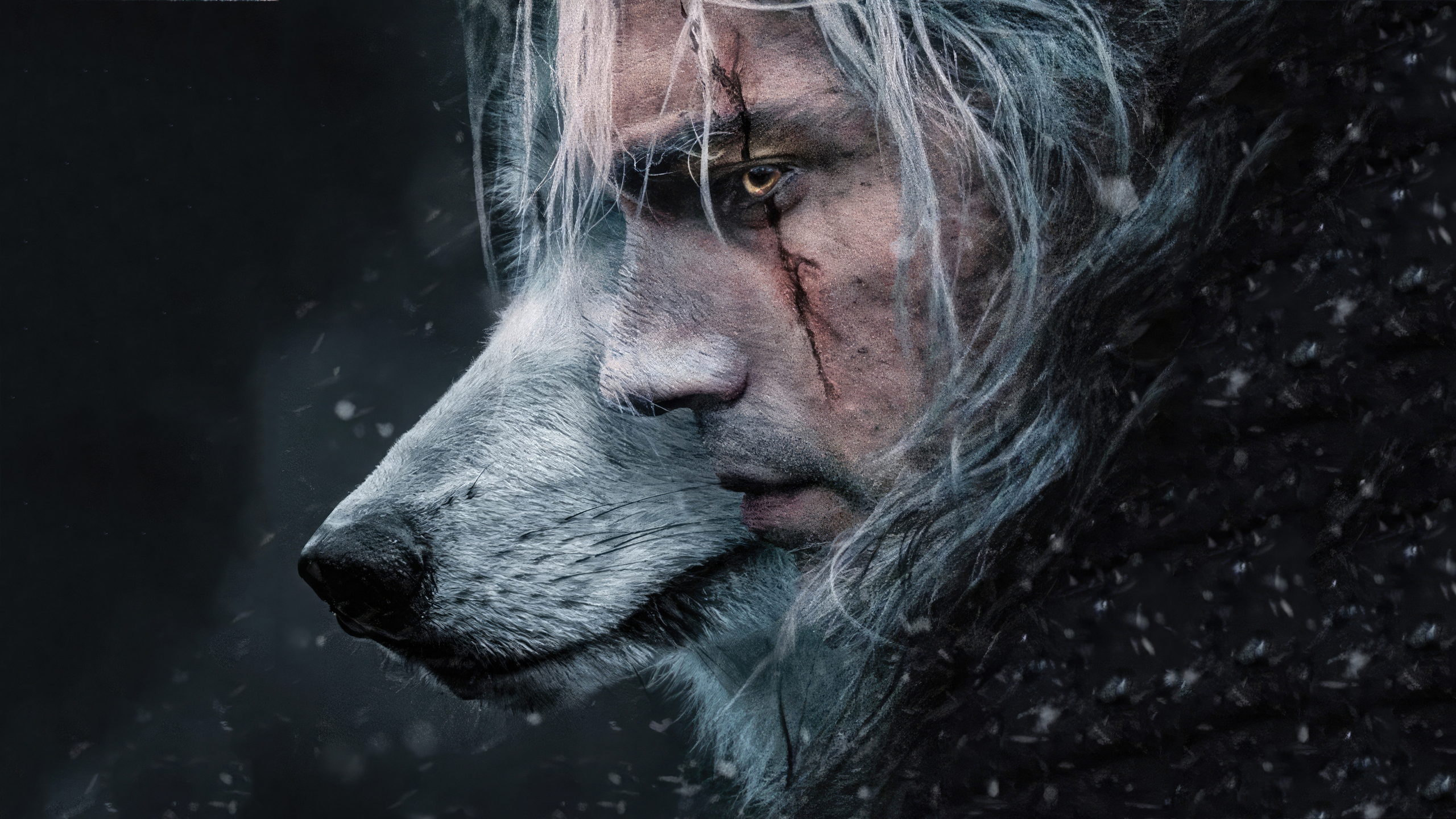 The witcher season 3 watch online in english фото 37
