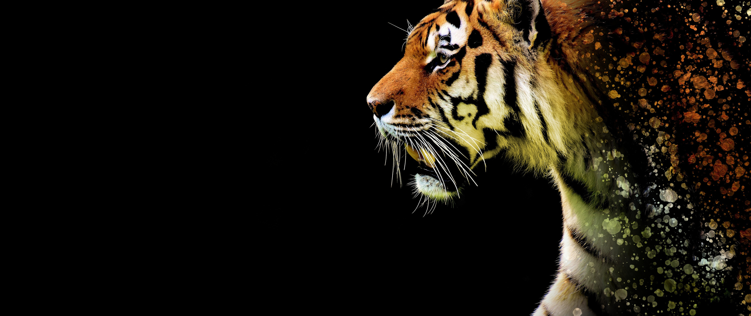 tiger-abstract-5k-wp-2560x1080.jpg