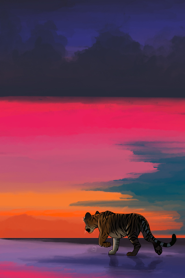 tiger-sunset-beach-5k-63.jpg