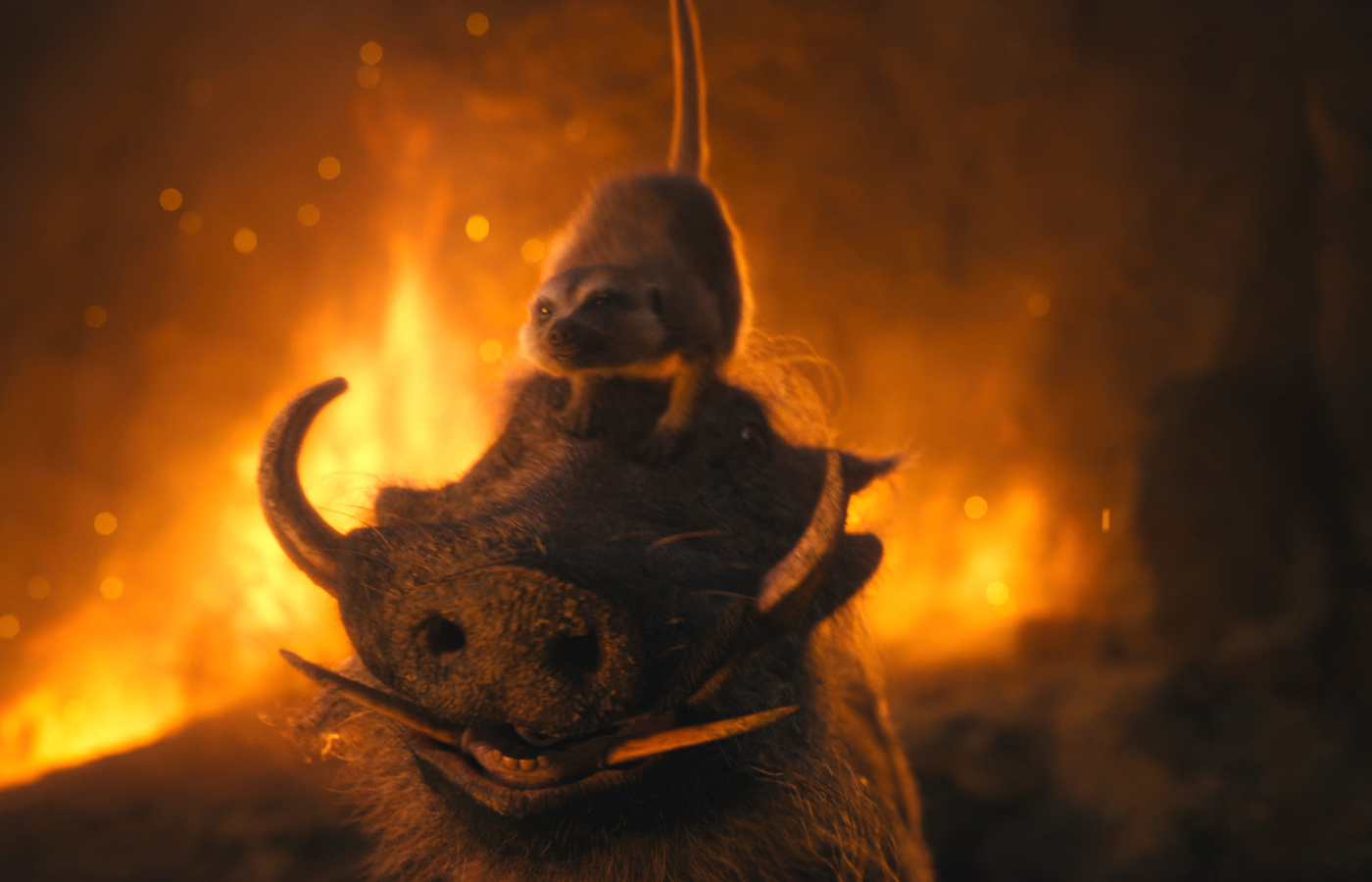 1400x900 Timon And Pumbaa In Mufasa The Lion King 2024 Wallpaper ...