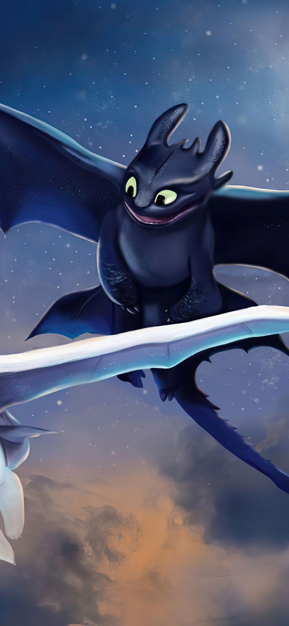 1125x2436 Toothless And Light Fury Art 5k Iphone XS,Iphone 10,Iphone X