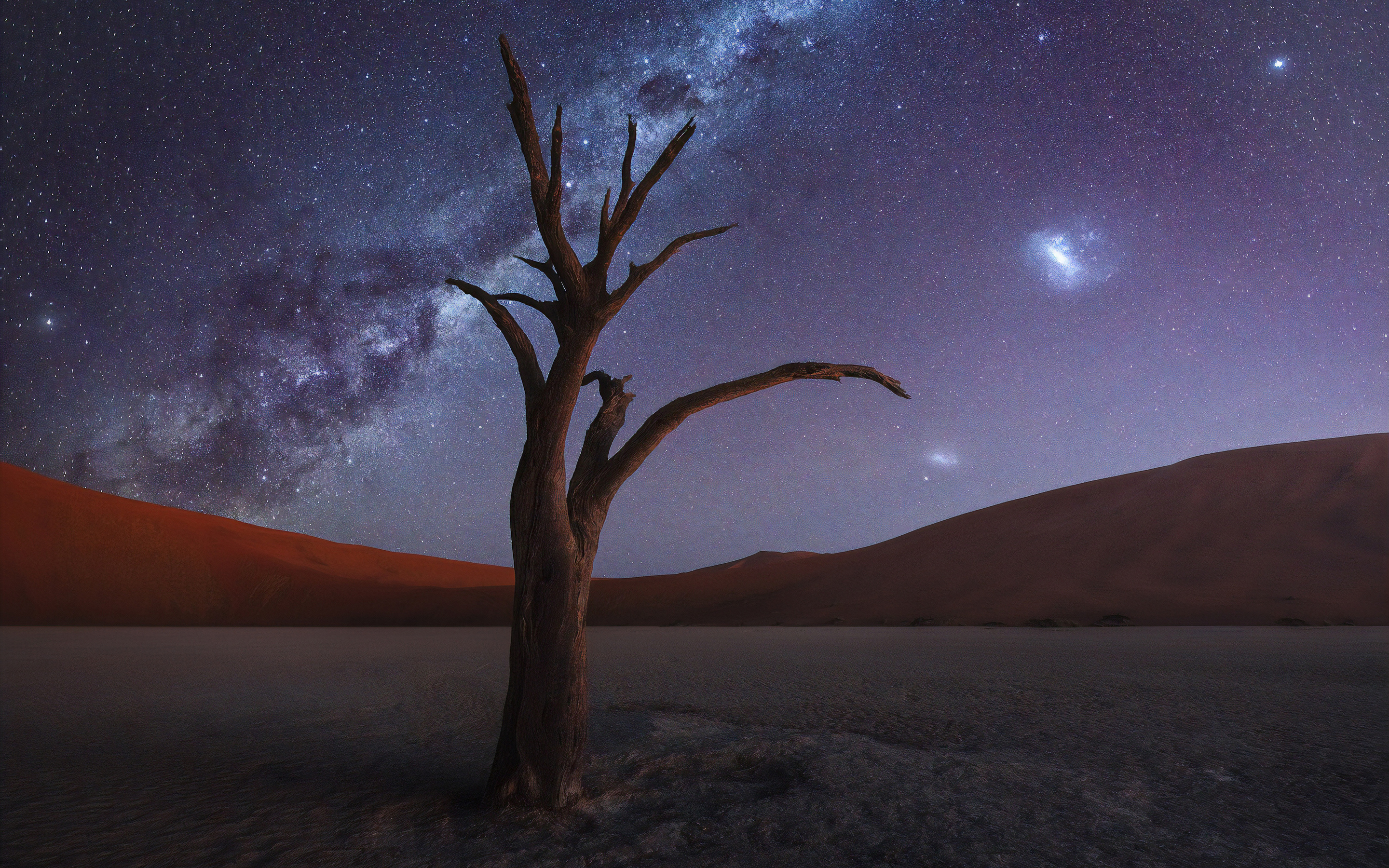 2880x1800 Tree Desert Milky Way 4k Macbook Pro Retina HD 4k Wallpapers,  Images, Backgrounds, Photos and Pictures