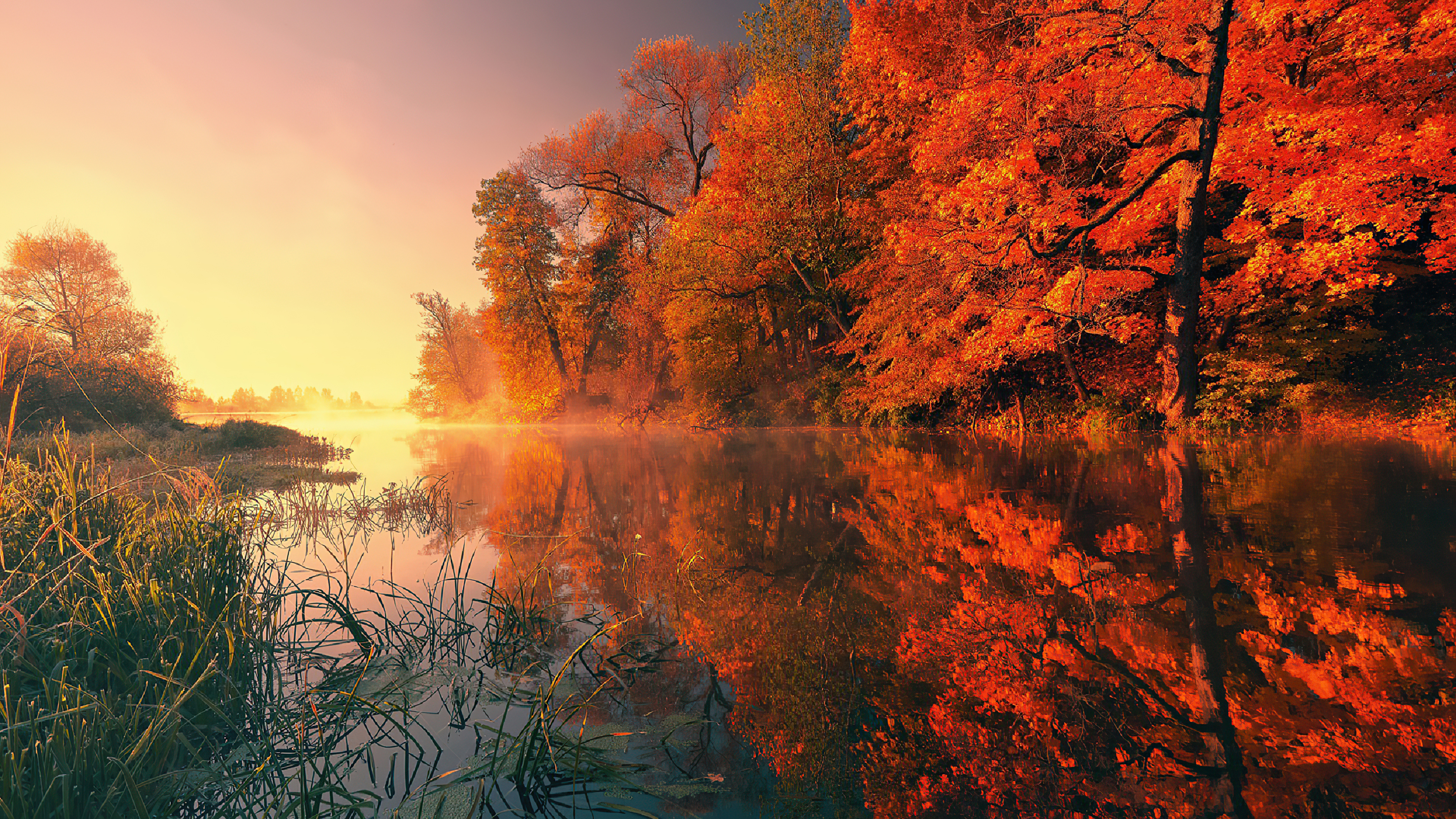 3840x2160 Trees Fall Reflection Autumn 4k 4k HD 4k Wallpapers, Images