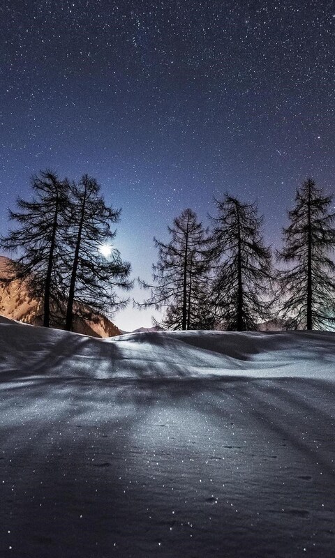 trees-night-snow-mountains.jpg