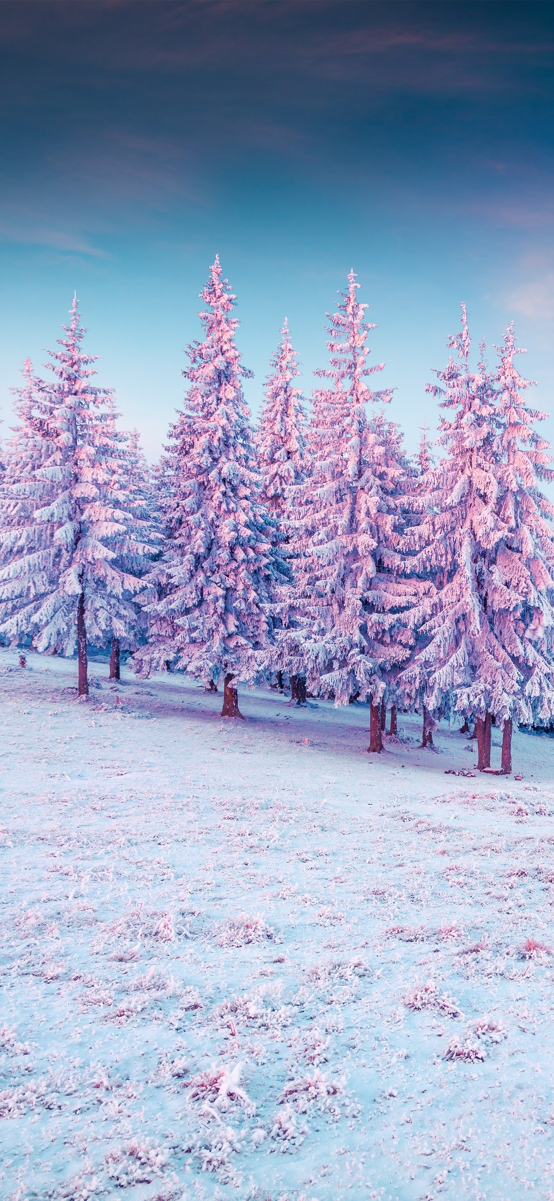 trees-pink-colorful-cold-hills-snow-5k-kq.jpg