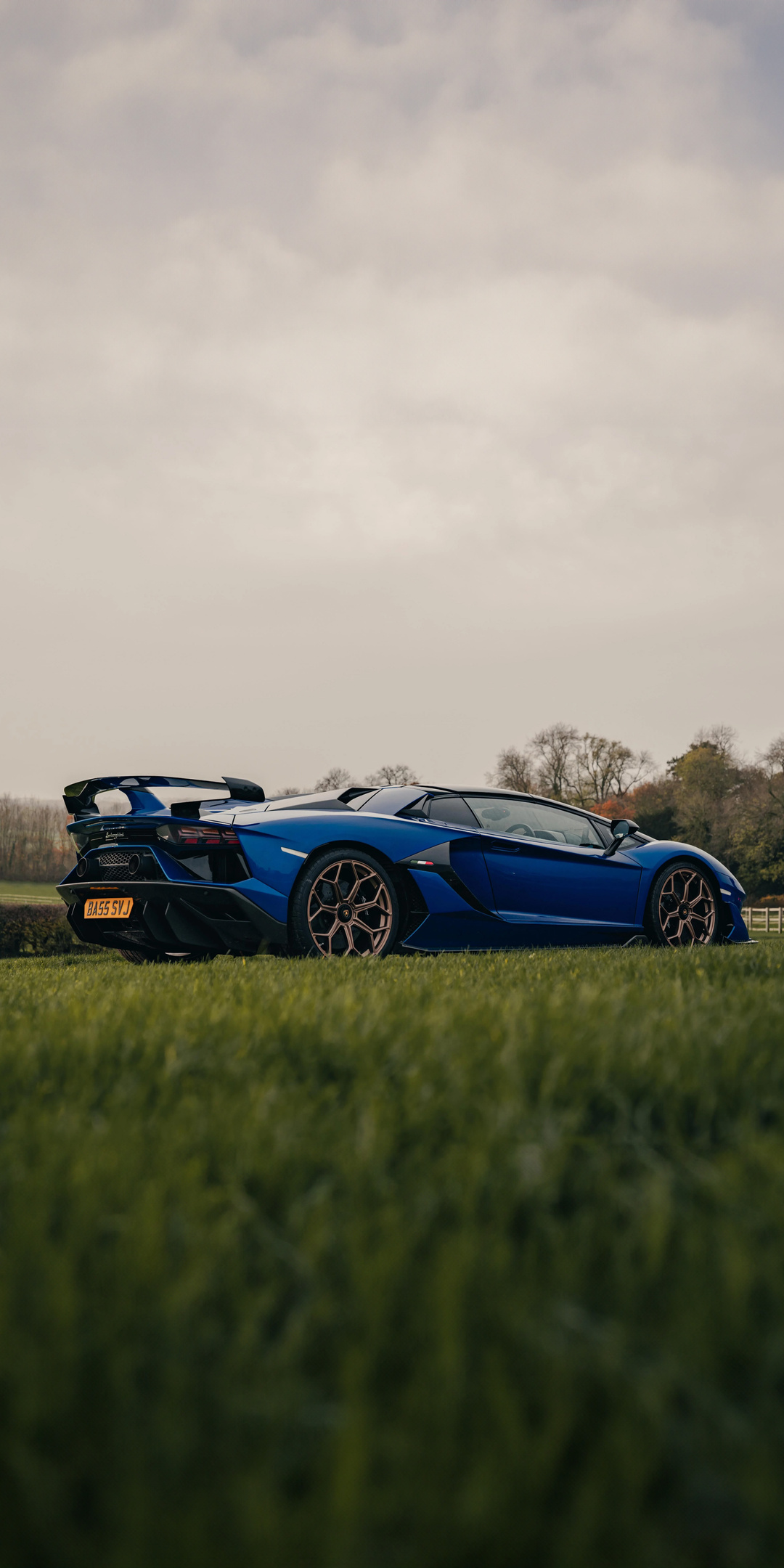 1080x2160 Ultimate Blue Lamborghini Aventador Svj One Plus 5T,Honor 7x ...