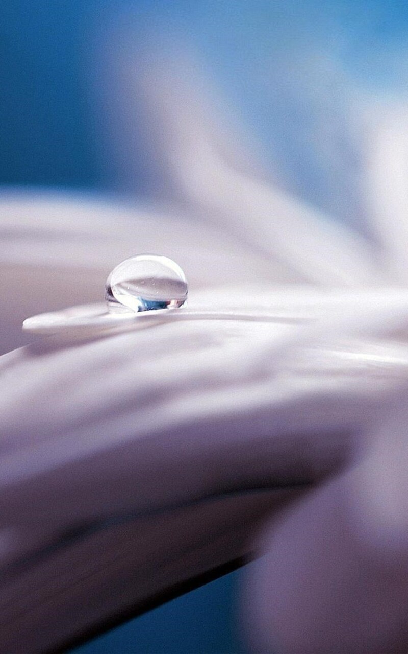 water-drop-flower.jpg