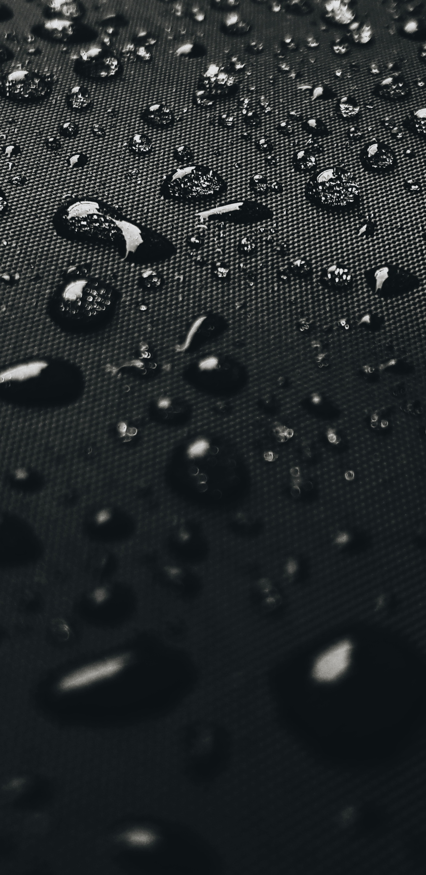 1440x2960 Water Drops On Black Surface 4k Samsung Galaxy Note 98  S9S8S8 QHD HD 4k Wallpapers Images Backgrounds Photos and Pictures