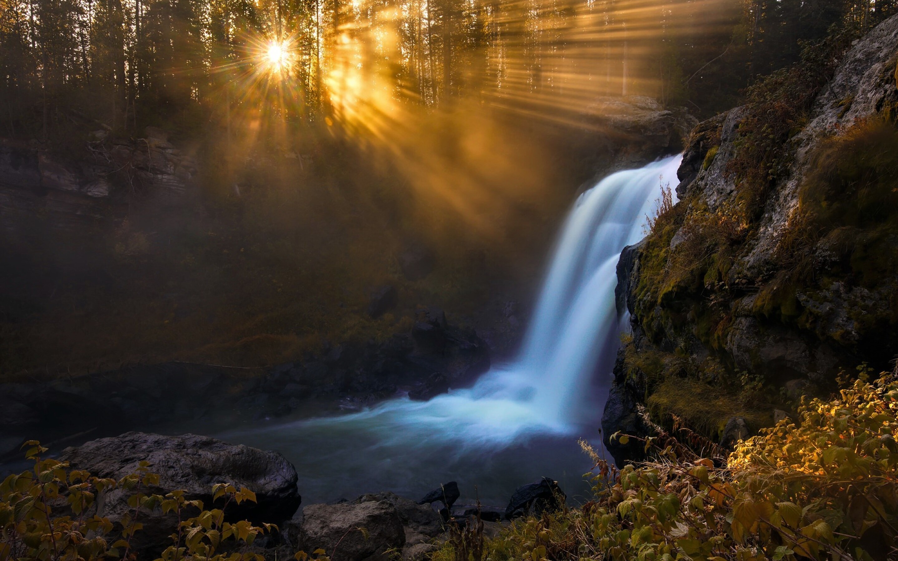 Водопад рассвет. Лесной водопад. Река с водопадом. Водопад на рассвете. Водопад солнце.