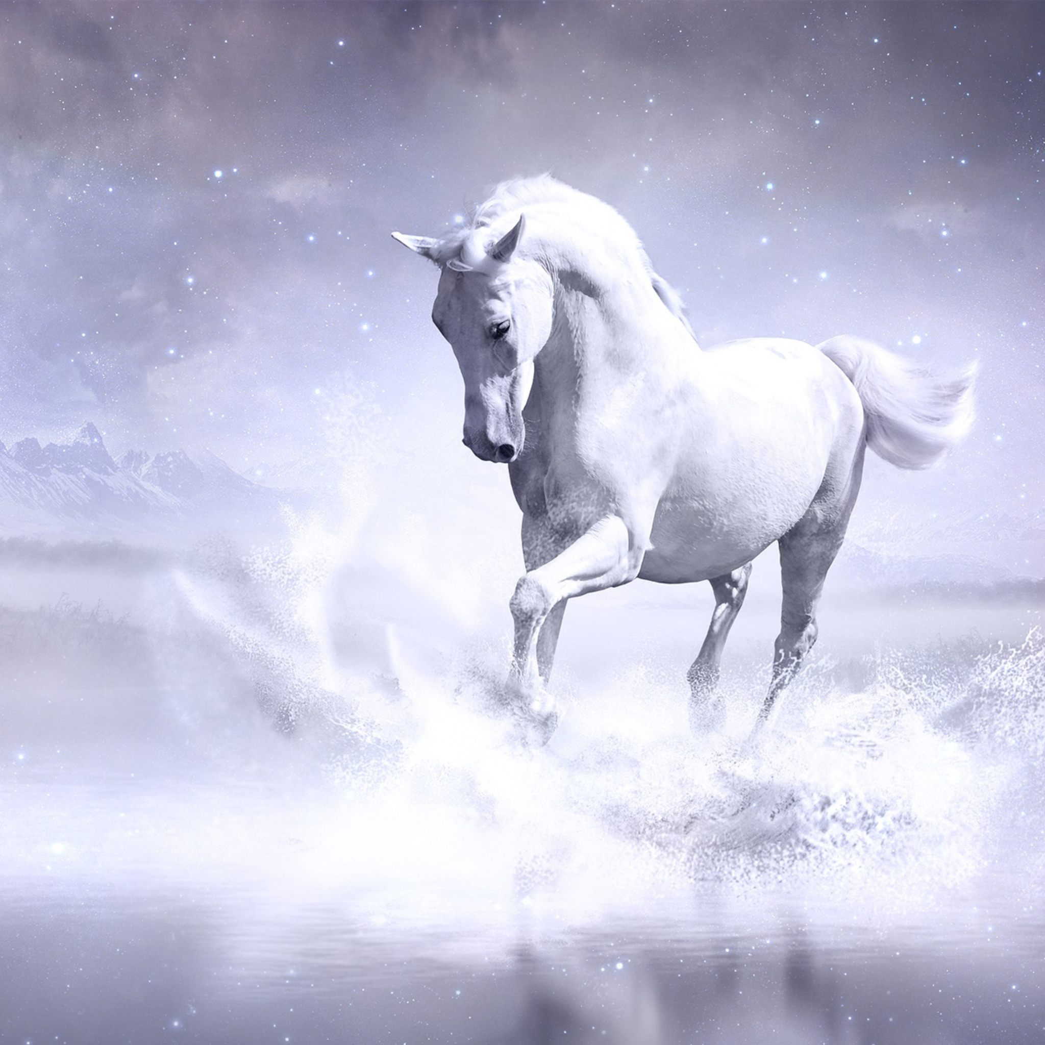 2048x2048 White Horse Ipad Air Hd 4k Wallpapers Images Backgrounds Photos And Pictures