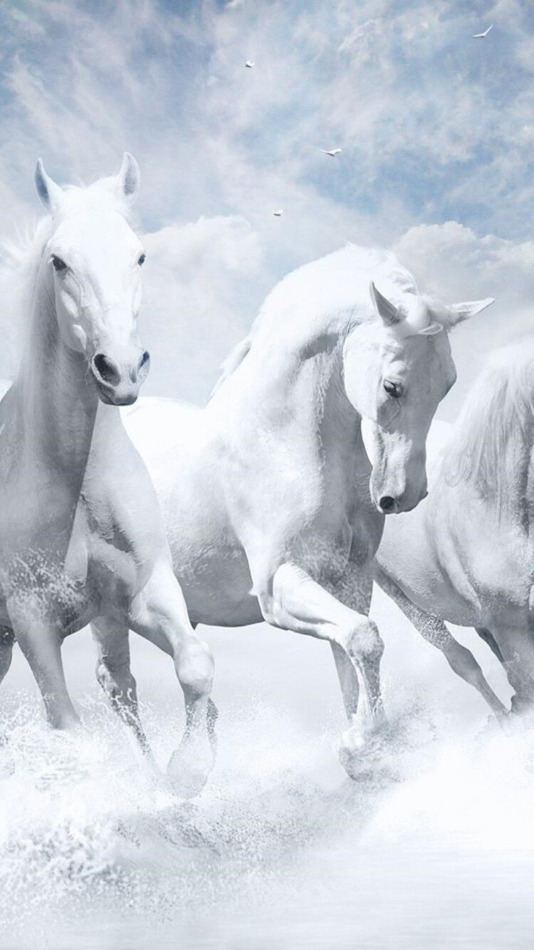 750x1334 White Horses HD iPhone 6, iPhone 6S, iPhone 7 HD 4k Wallpapers,  Images, Backgrounds, Photos and Pictures
